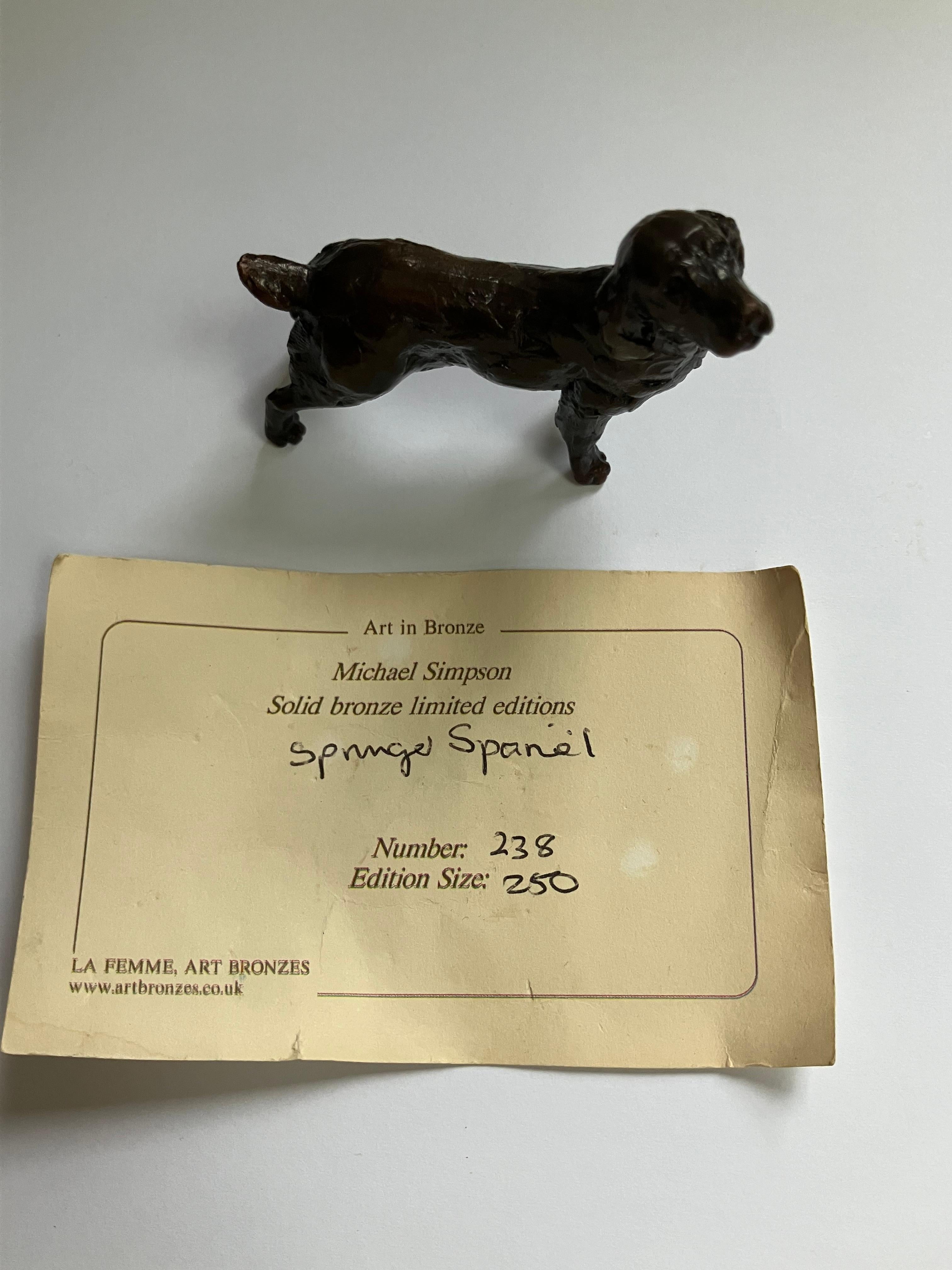 Scultura Springer Spaniel in bronzo in edizione limitata firmata da Michael Simpson In condizioni ottime in vendita a Sherborne, GB