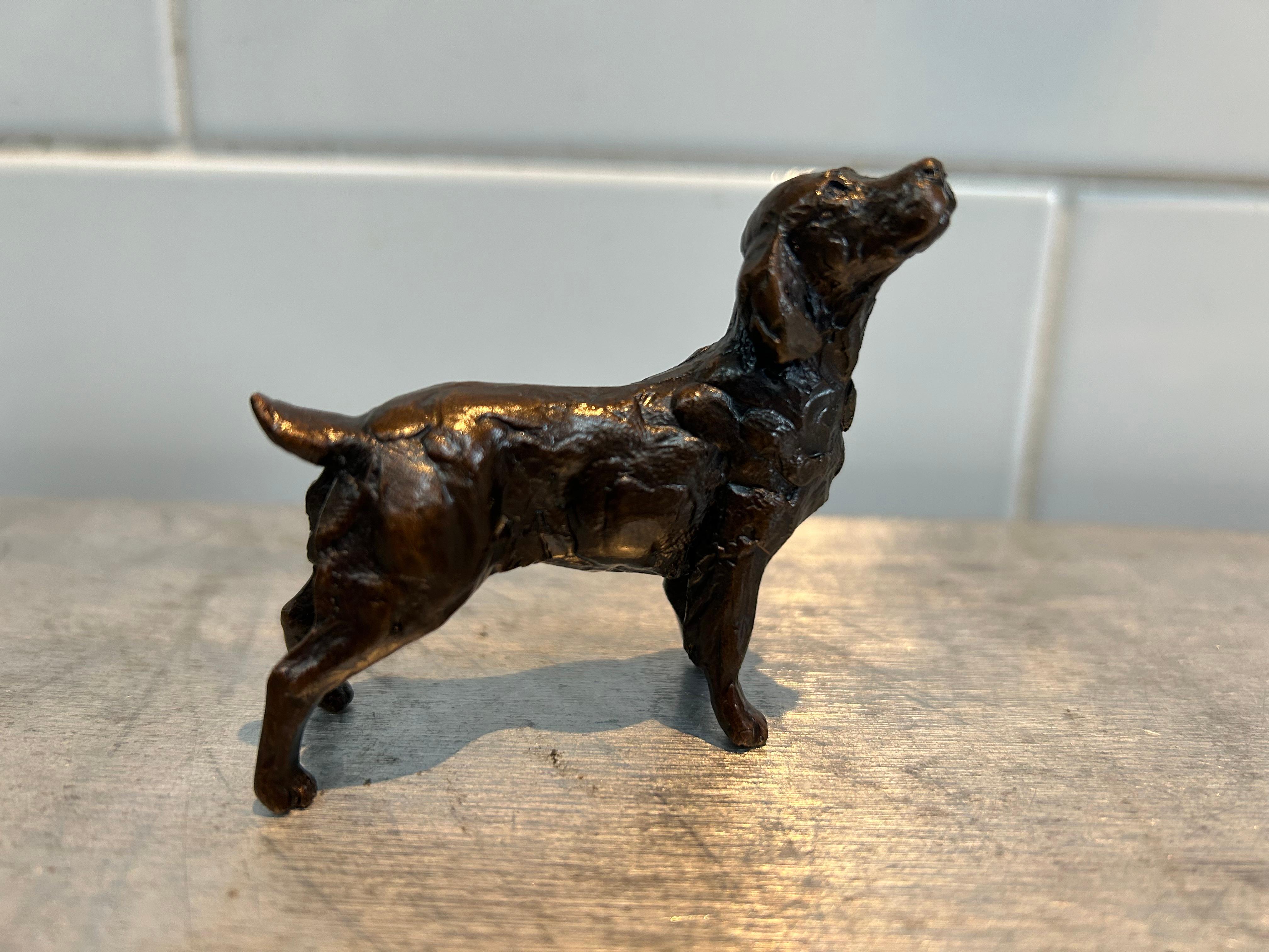Springer Spaniel Bronze Limited Edition Signed Michael Simpson Sculpture