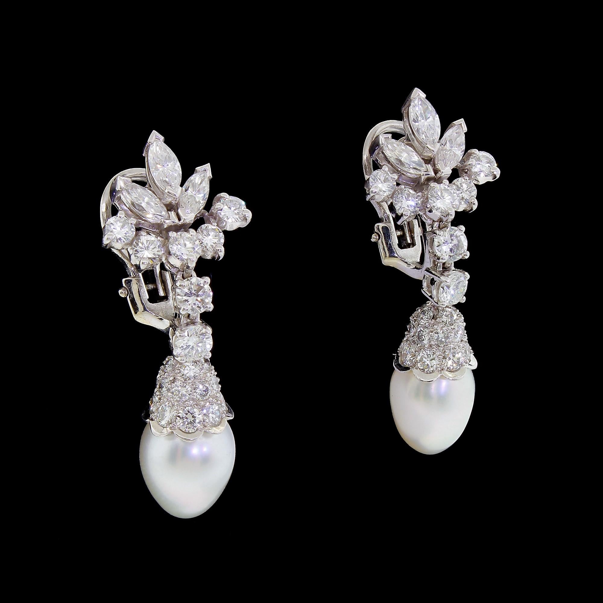 Women's Spritzer & Fuhrmann Platinum Diamond White Gold South Sea Pearl Drop Earrings