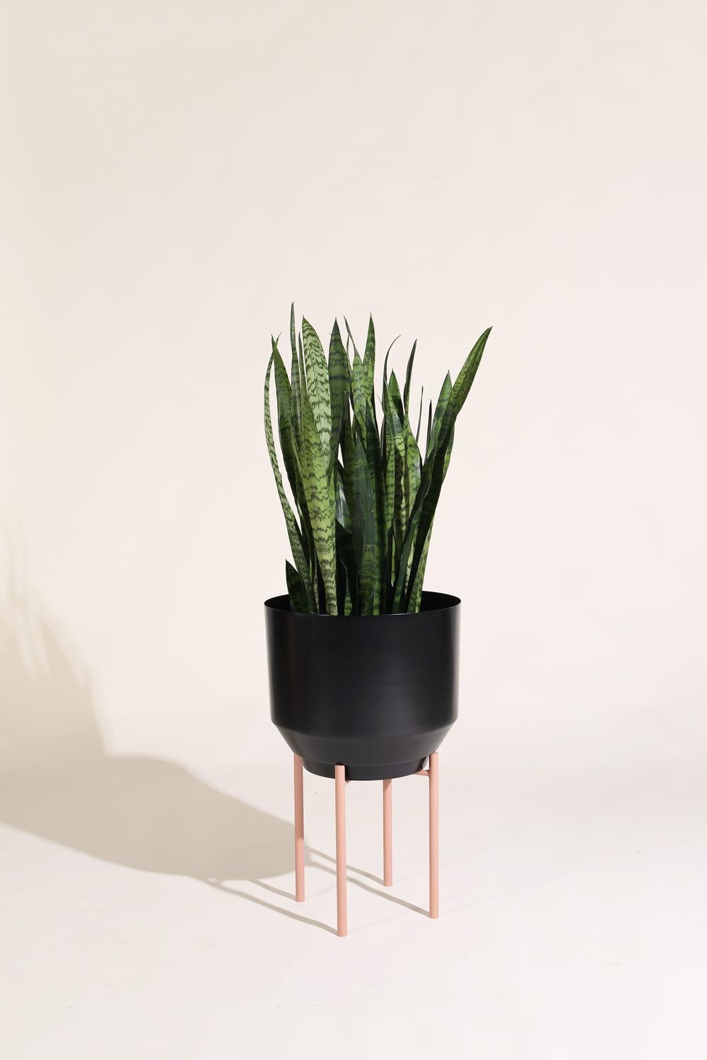American Spun Planter, Black For Sale