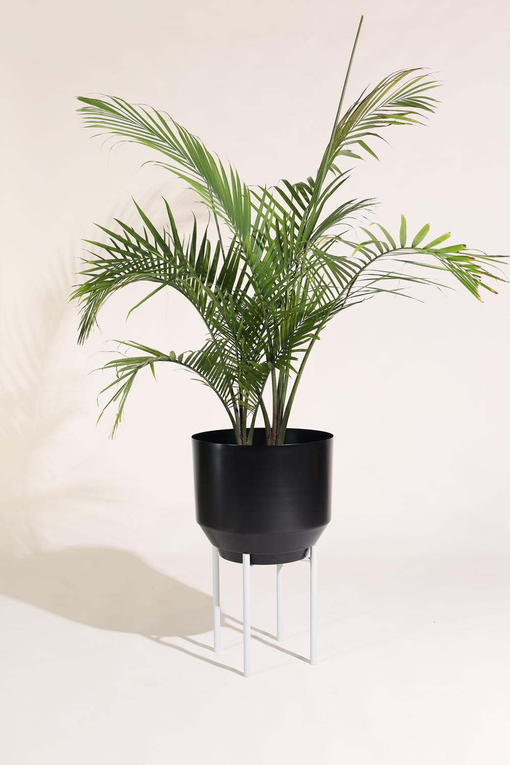 Powder-Coated Spun Planter, Black For Sale