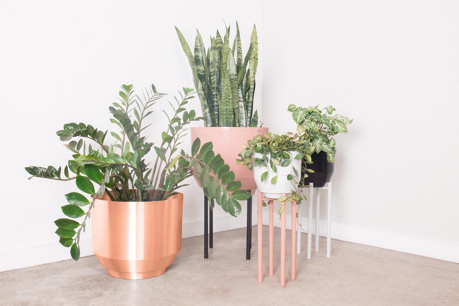 The large self-watering 16