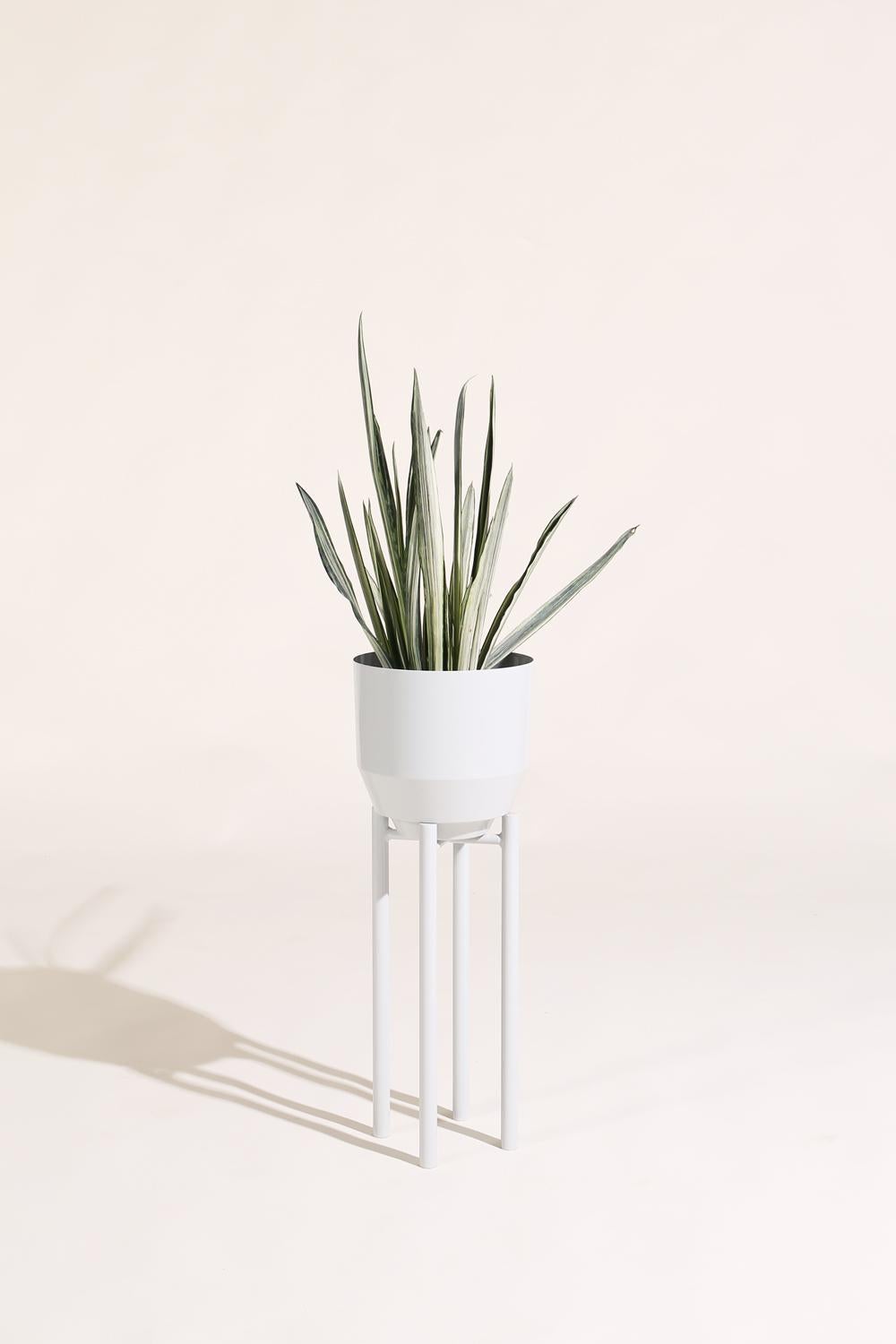 spun planters