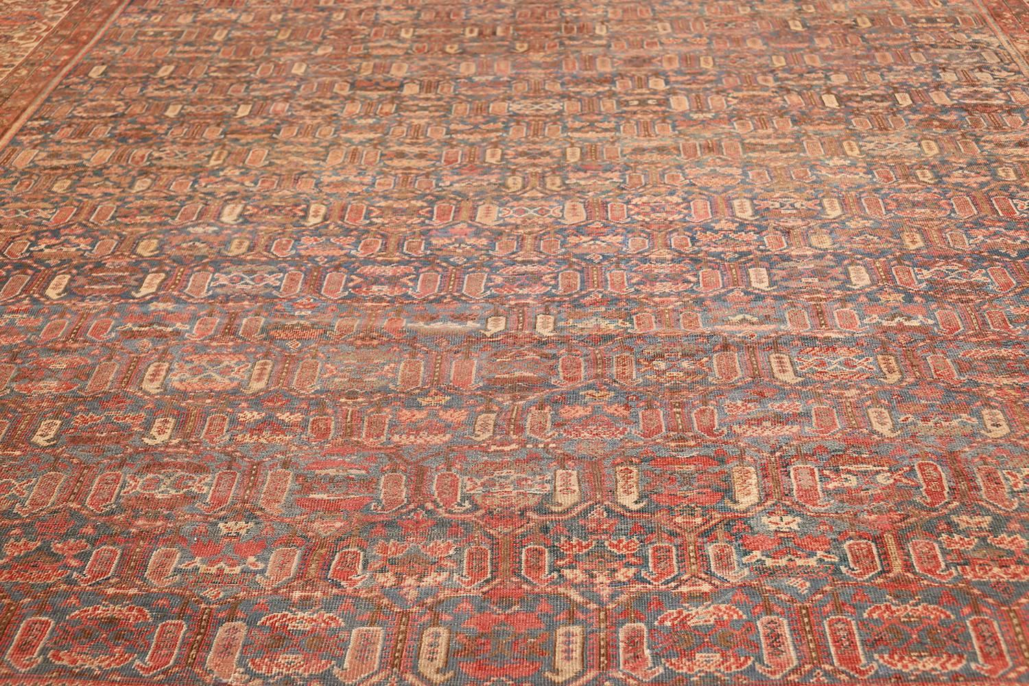 Antique Bakshaish Persian Rug. Size: 11 ft 4 in x 11 ft 8 in For Sale 2