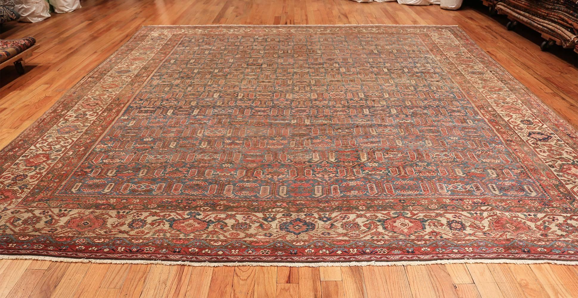 Antique Bakshaish Persian Rug. Size: 11 ft 4 in x 11 ft 8 in For Sale 3