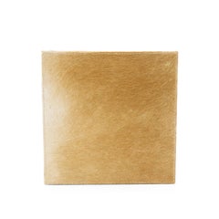 Quadratische braune Lederschachtel