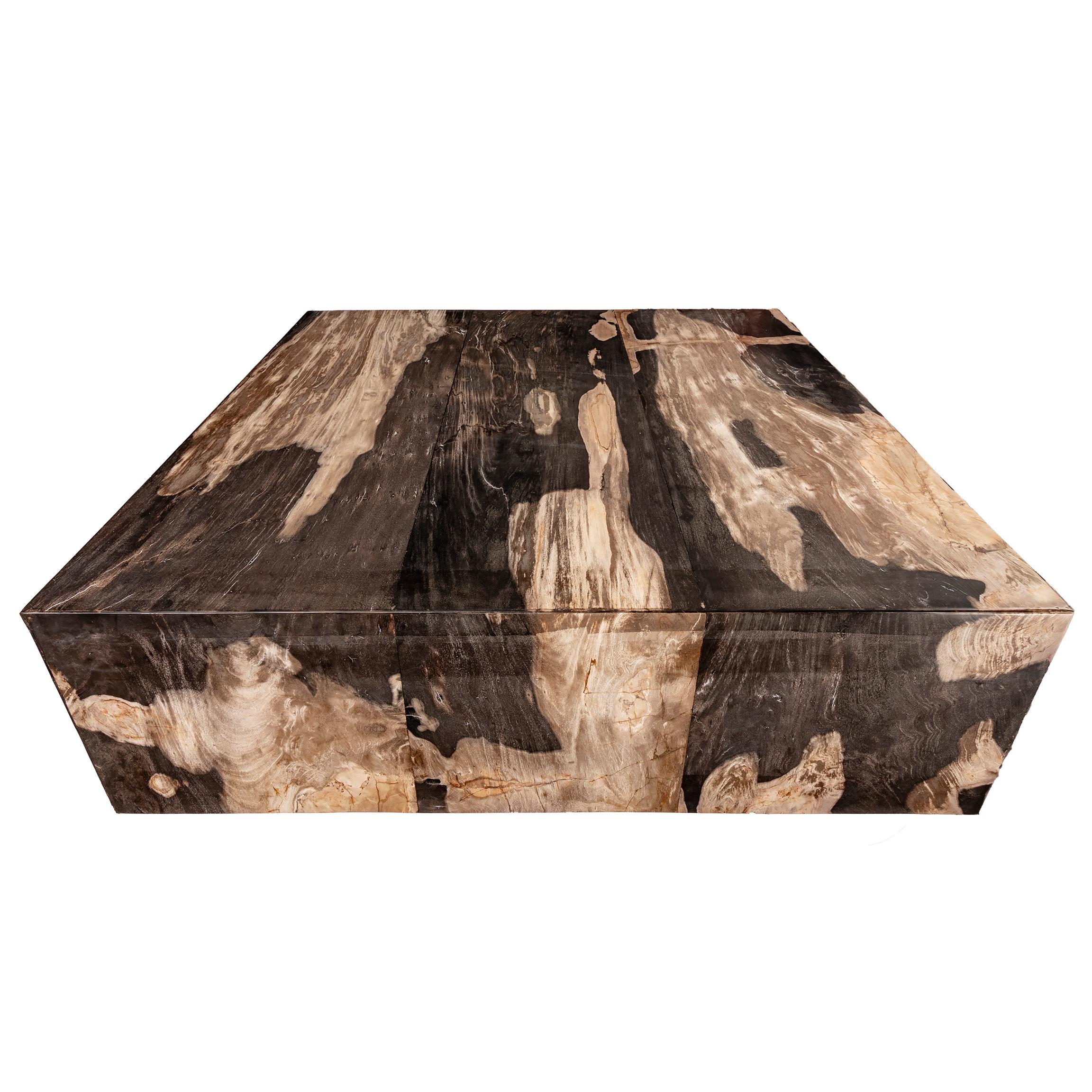 Organic Modern Square Center or Coffee Table, Petrified Wood