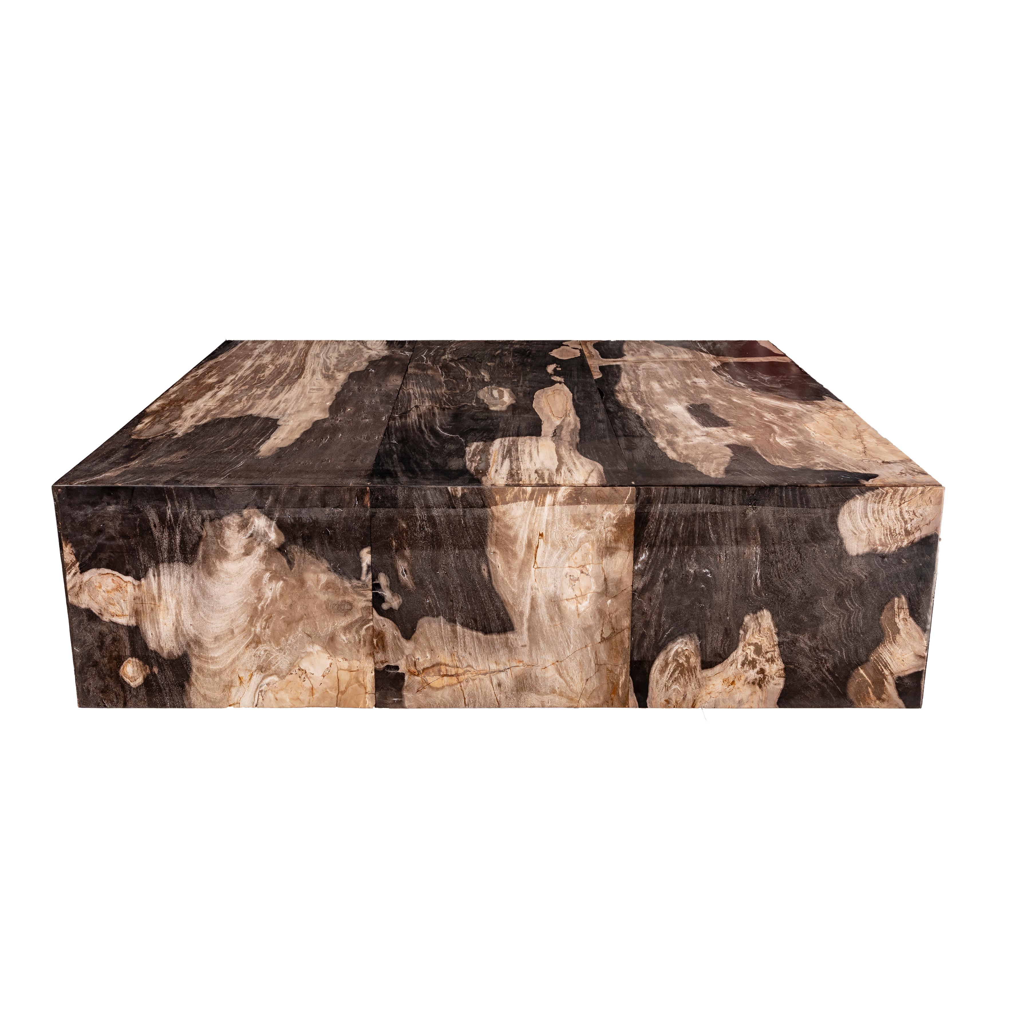 Mexican Square Center or Coffee Table, Petrified Wood