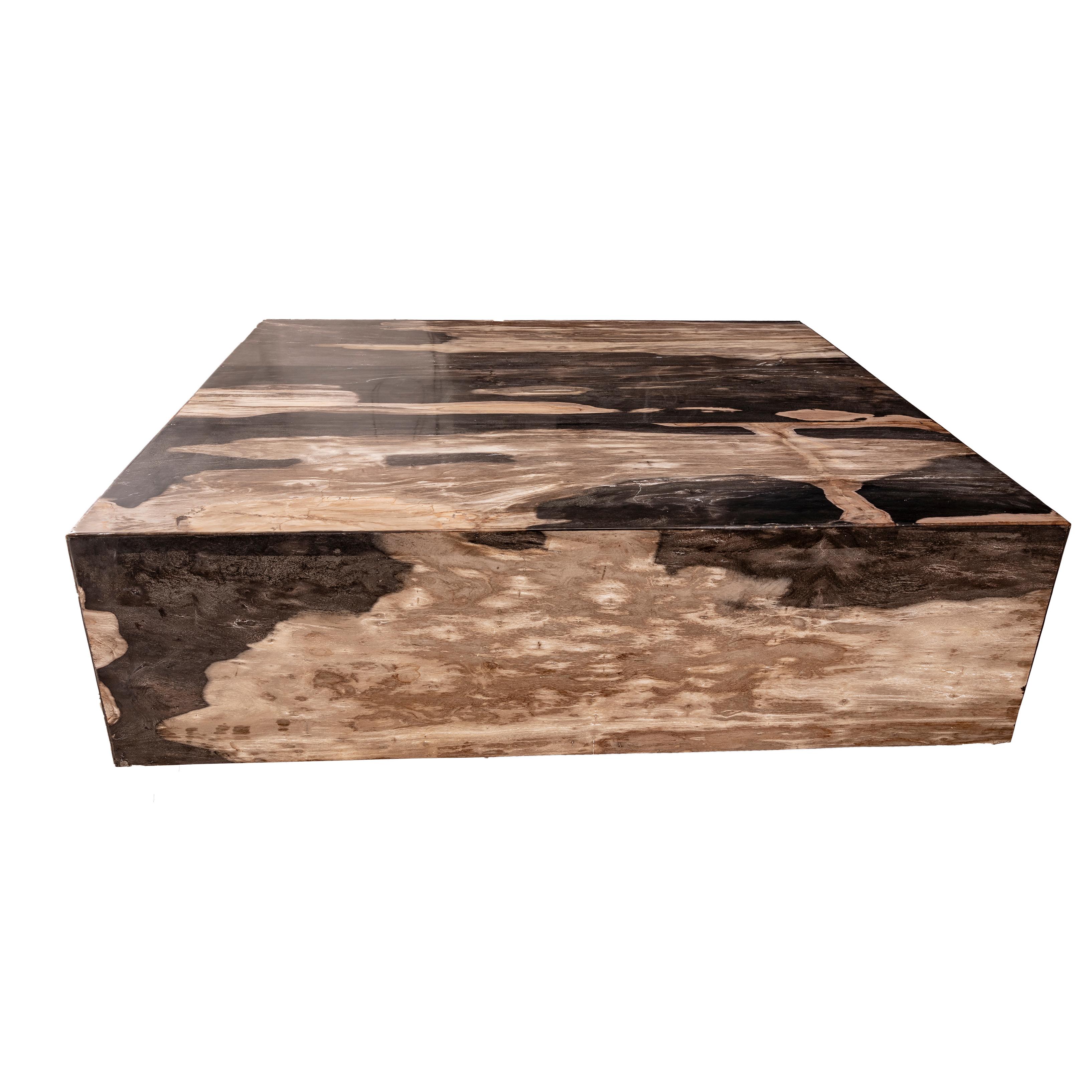 Polished Square Center or Coffee Table, Petrified Wood
