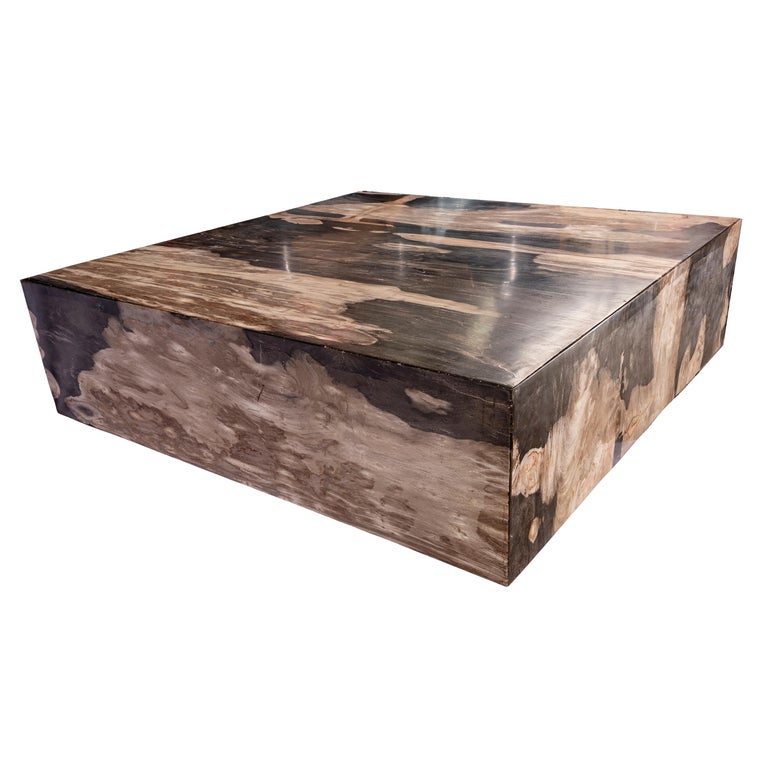 Square Center or Coffee Table, Petrified Wood at 1stDibs square