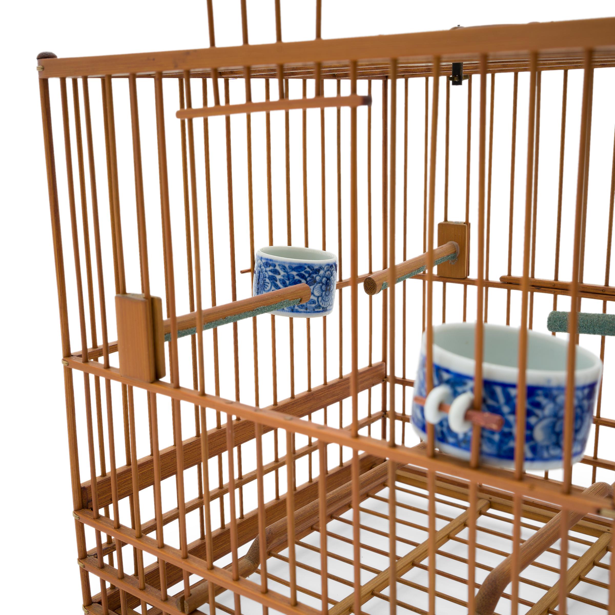bamboo cage