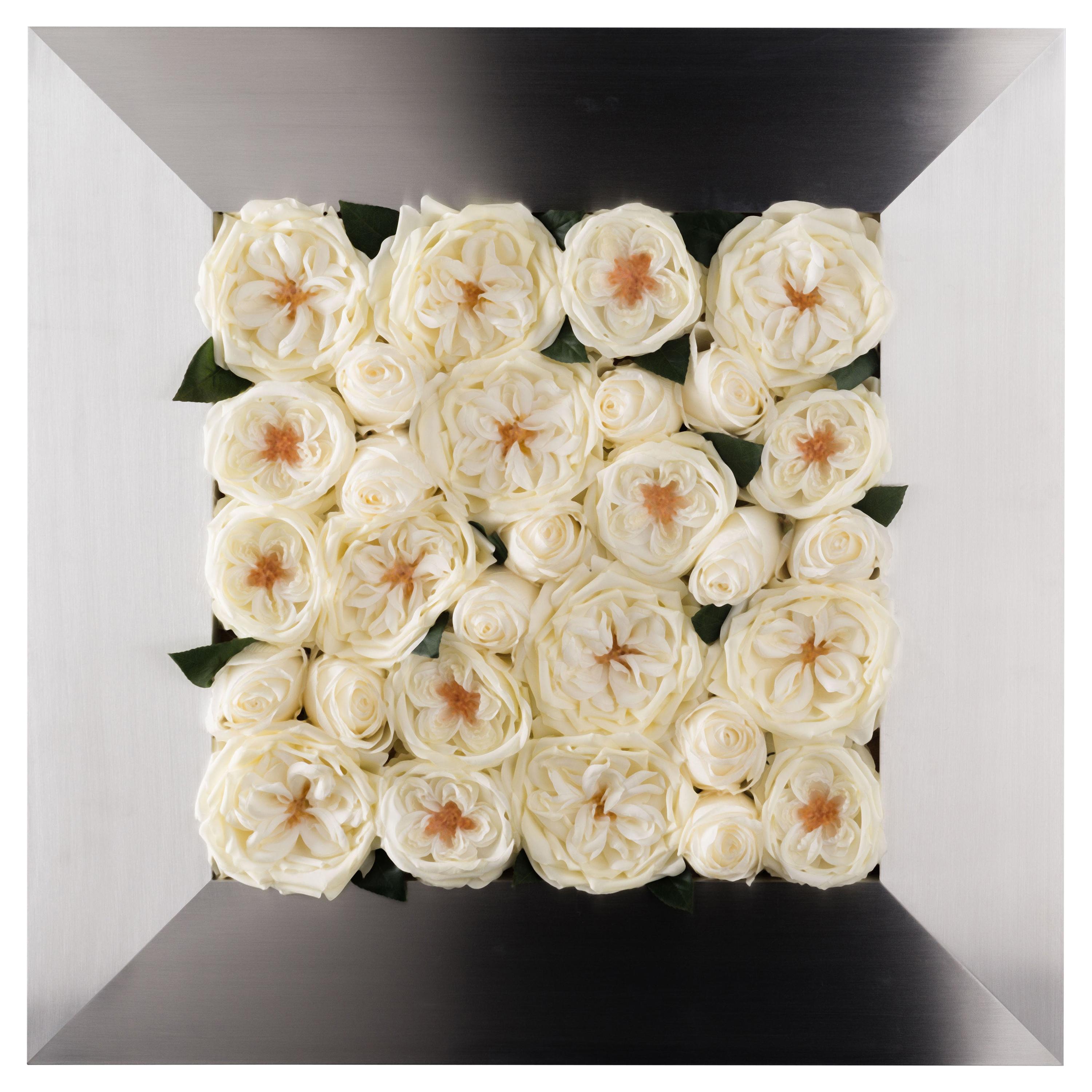 Quadratisches Set aus Rosen mit quadratischem Rahmen und Blumen, Italien