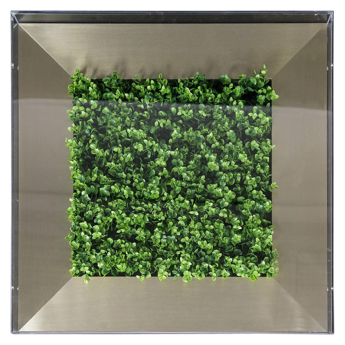 Quadratischer quadratischer Rahmen, Neuer Eukalyptus mit Theca-Set, Arrangement, Blumen, Italien