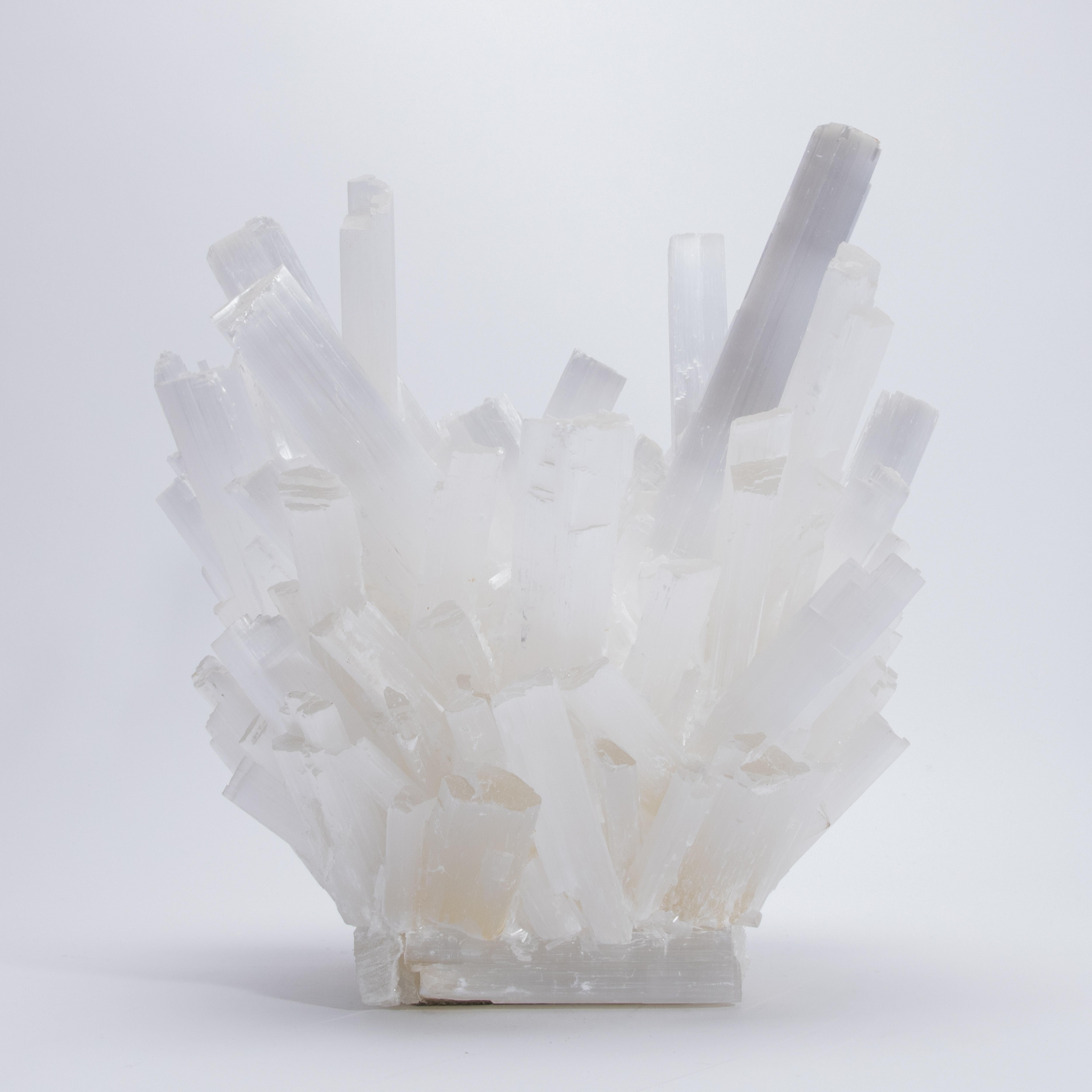Square Planter Bowl in Selenite by Kathryn McCoy For Sale 1