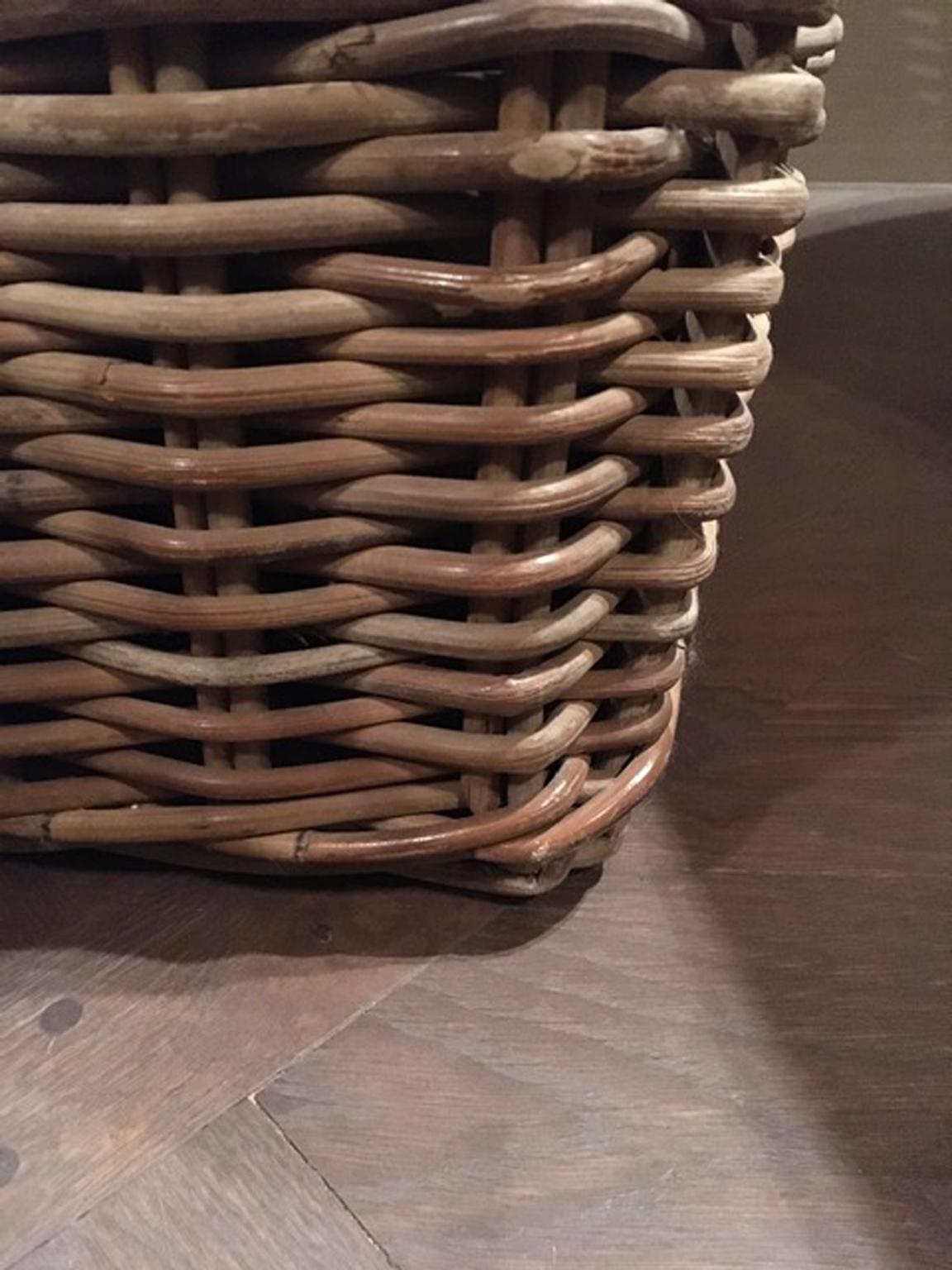 French Provincial Rattan Planter Chachepot For Sale 6
