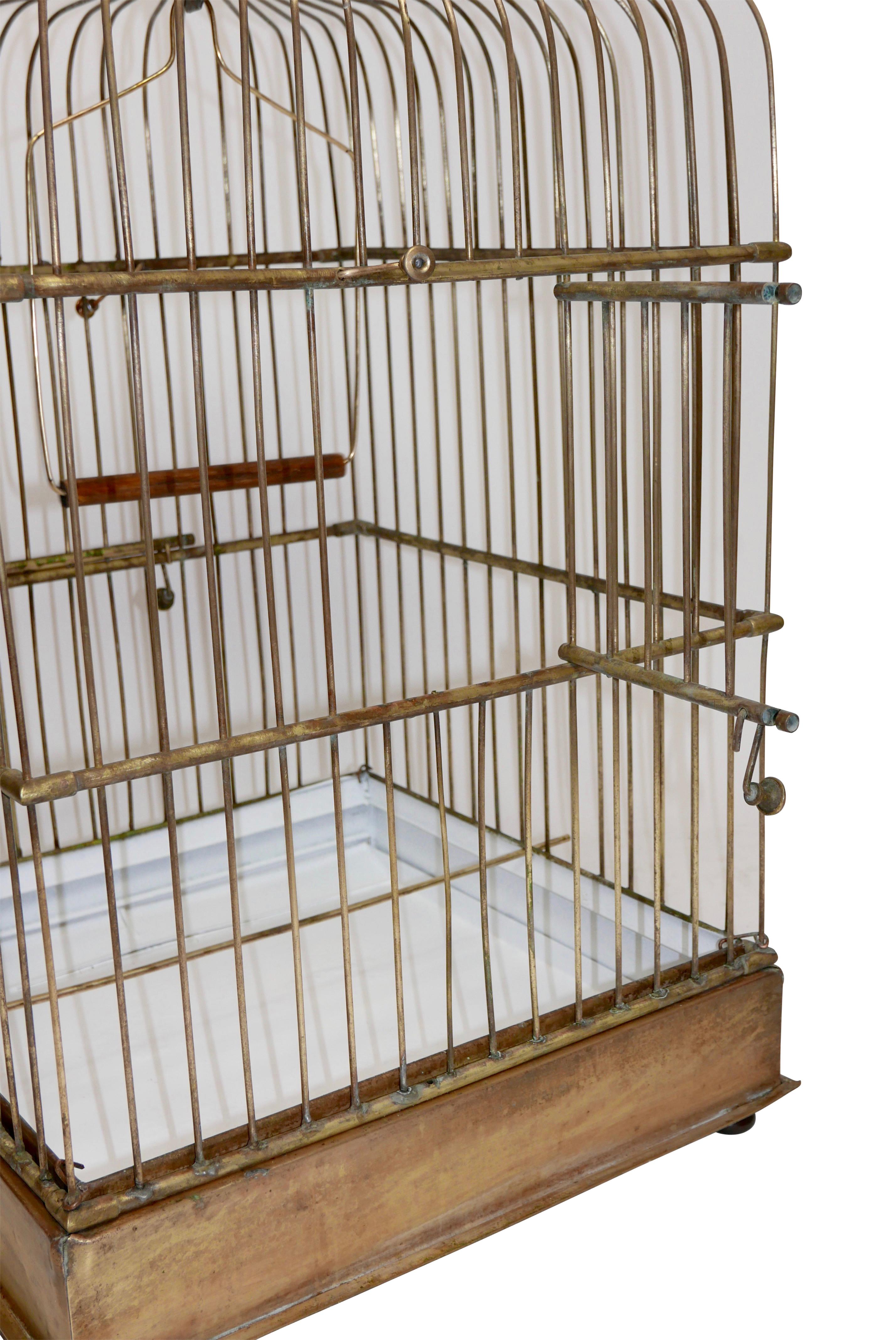 Square Solid Brass Parrot Birdcage, Late 19th Century 2