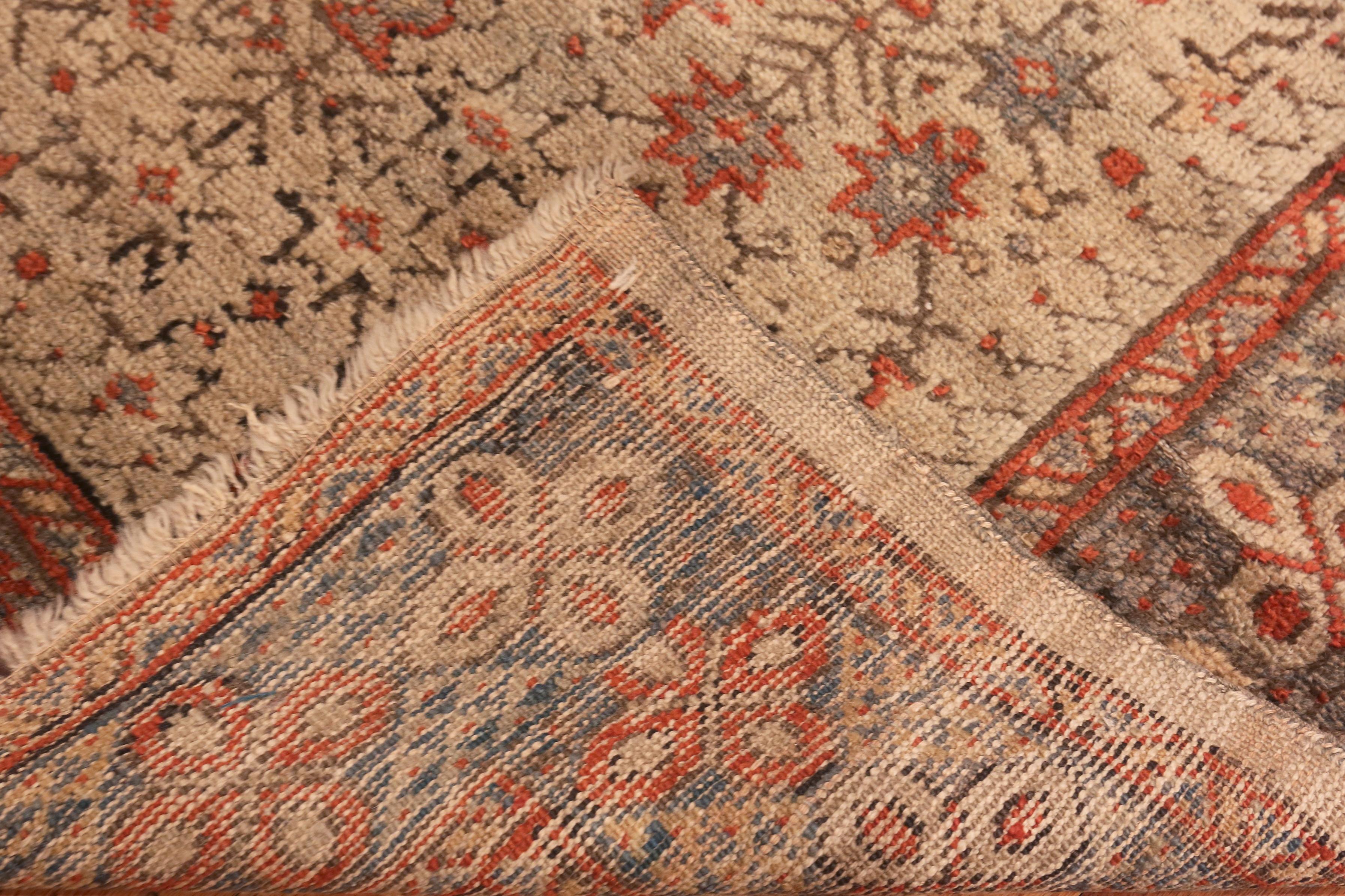 Gorgeous Square Tribal Antique Turkish Ghiordes Rug, Country Of Origin: Turkey, Circa Date: 1900. Size: 4 ft x 4 ft 2 in (1.22 m x 1.27 m)