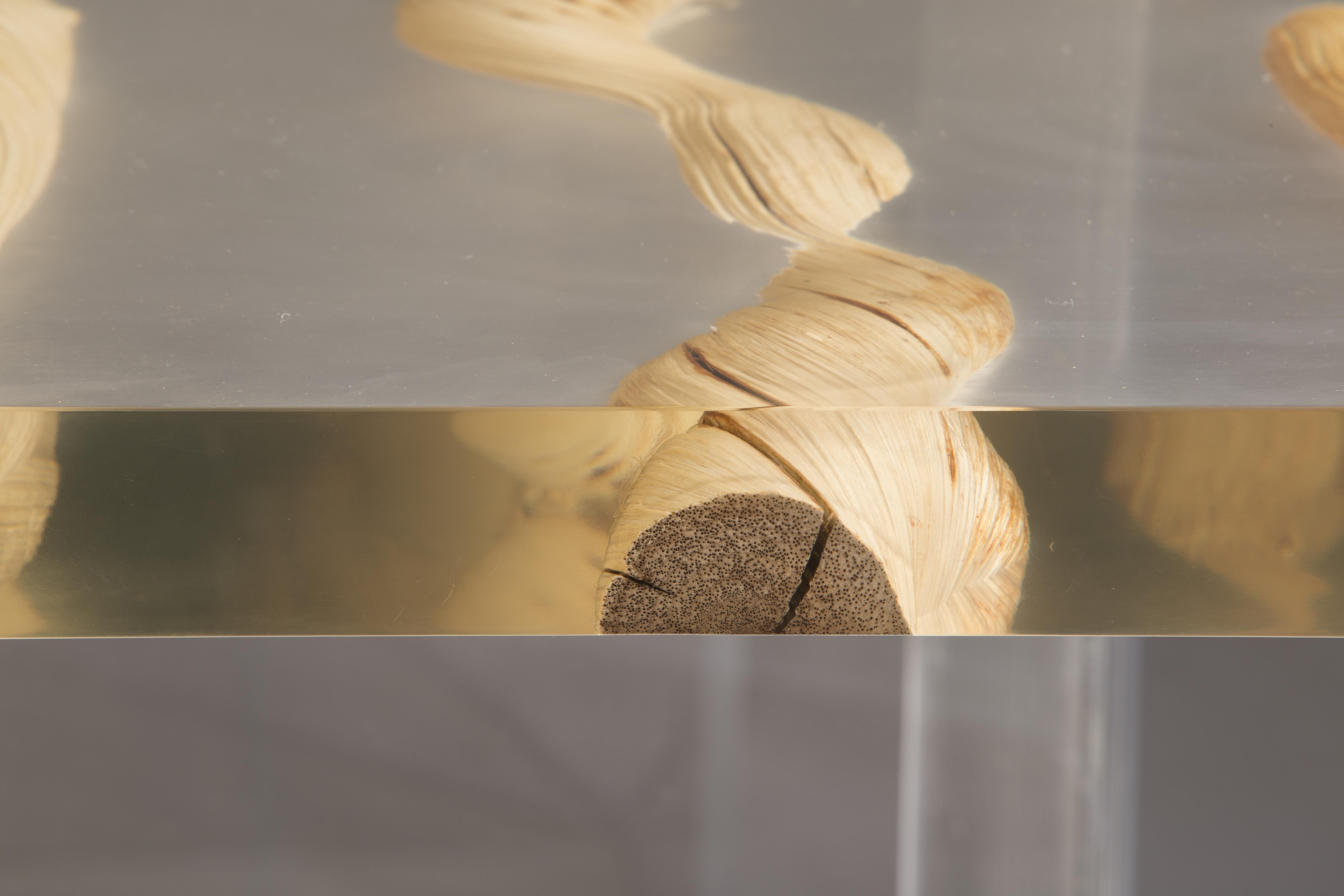 Quadratischer Couchtisch aus Holz und Glas, schwebender Liana-Couchtisch (Italienisch) im Angebot