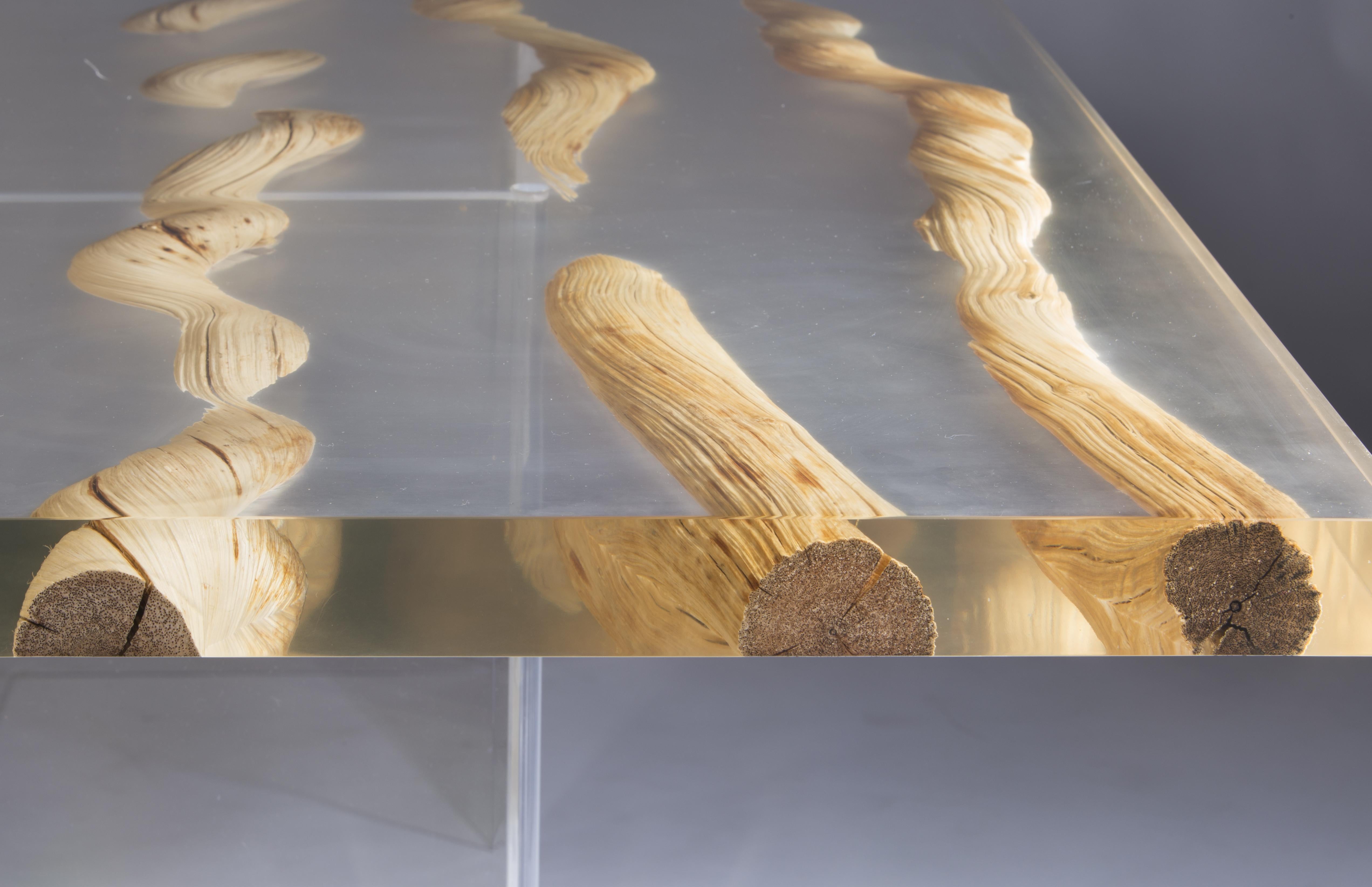 Quadratischer Couchtisch aus Holz und Glas, schwebender Liana-Couchtisch im Zustand „Neu“ im Angebot in Miami, FL