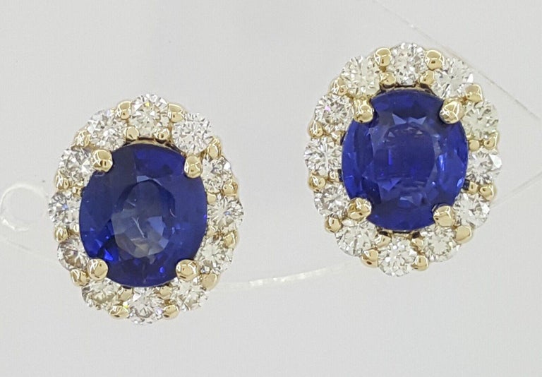 Sri Lanka Vivid Blue Ceylon Sapphire Diamond Earrings Yellow Gold For Sale  at 1stDibs | ceylon sapphire naples, blue sapphire earrings sri lanka