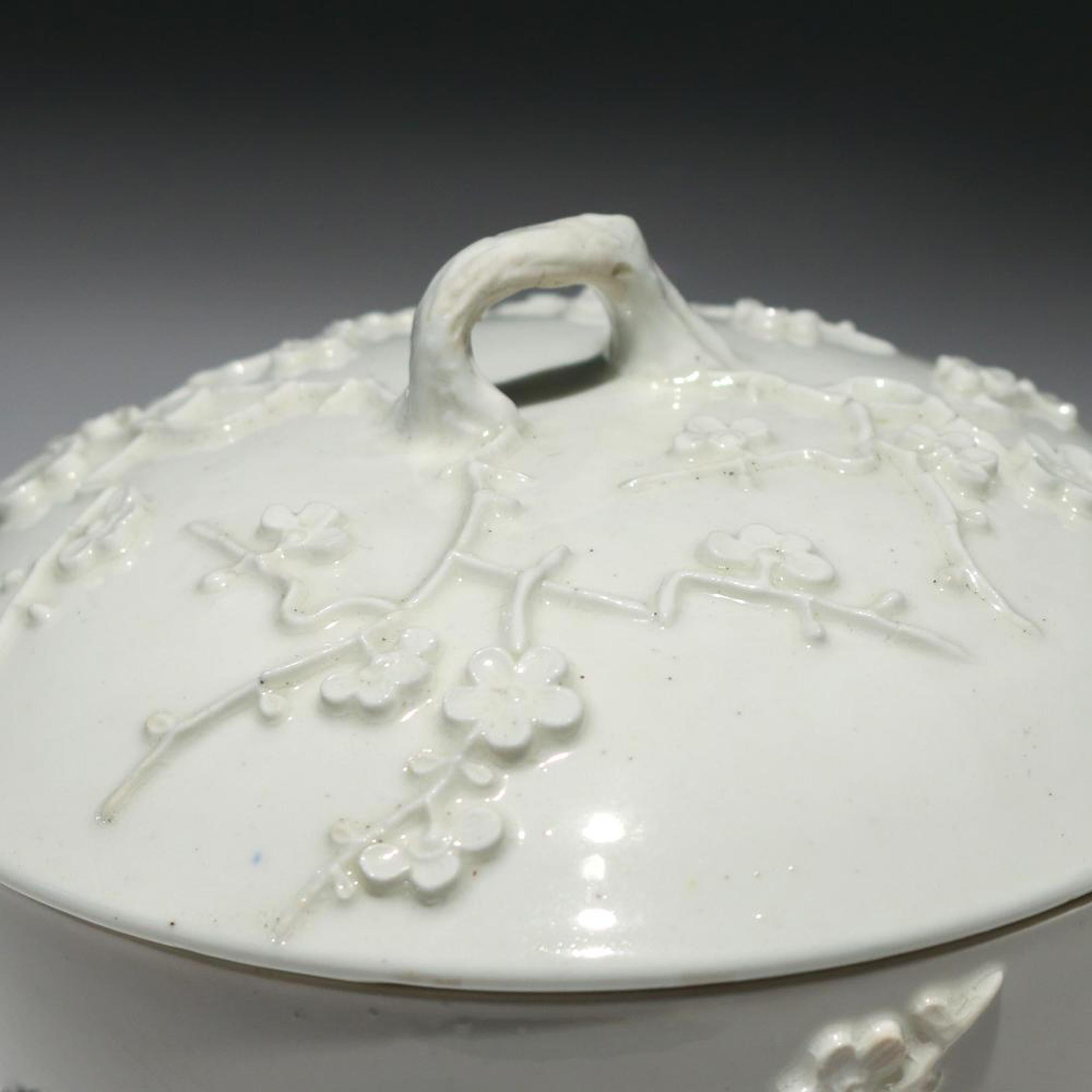 st cloud porcelain