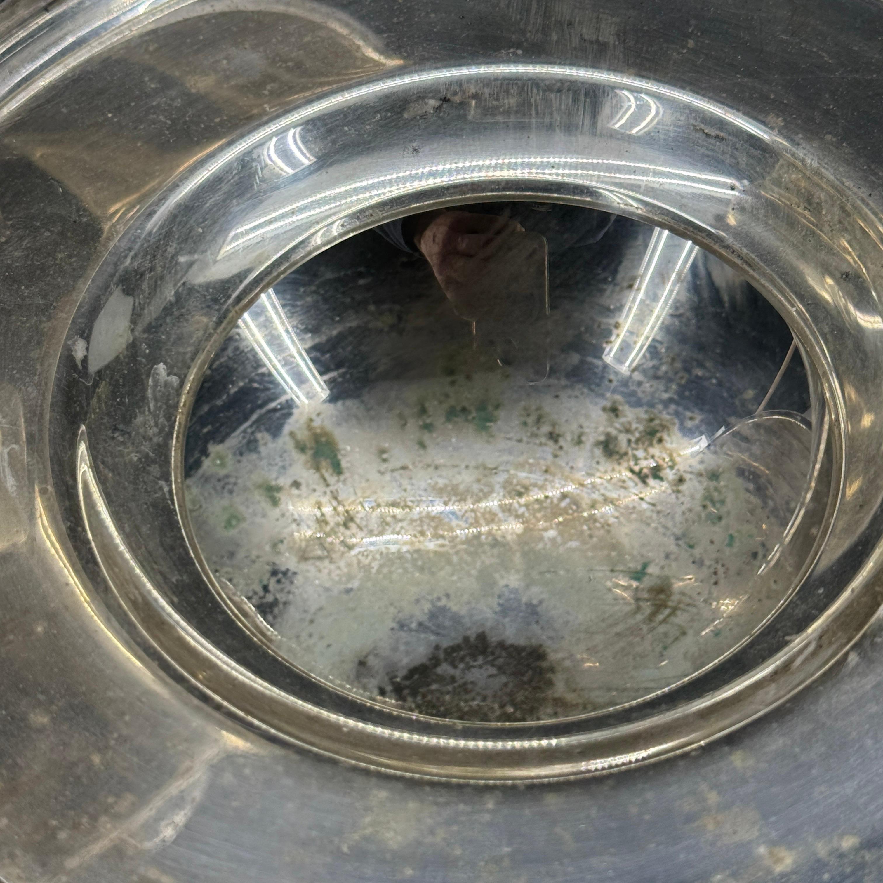 Servidor de caviar de plato de plata de Brasil de St. James con cuenco de cristal en venta 6