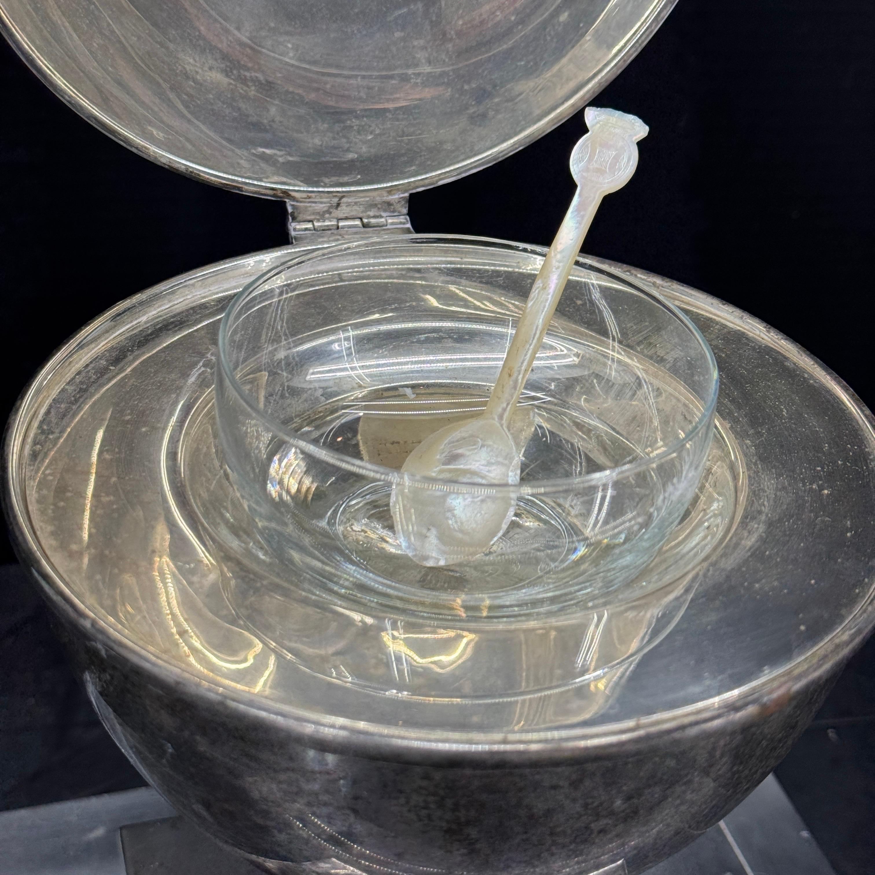Servidor de caviar de plato de plata de Brasil de St. James con cuenco de cristal en venta 11