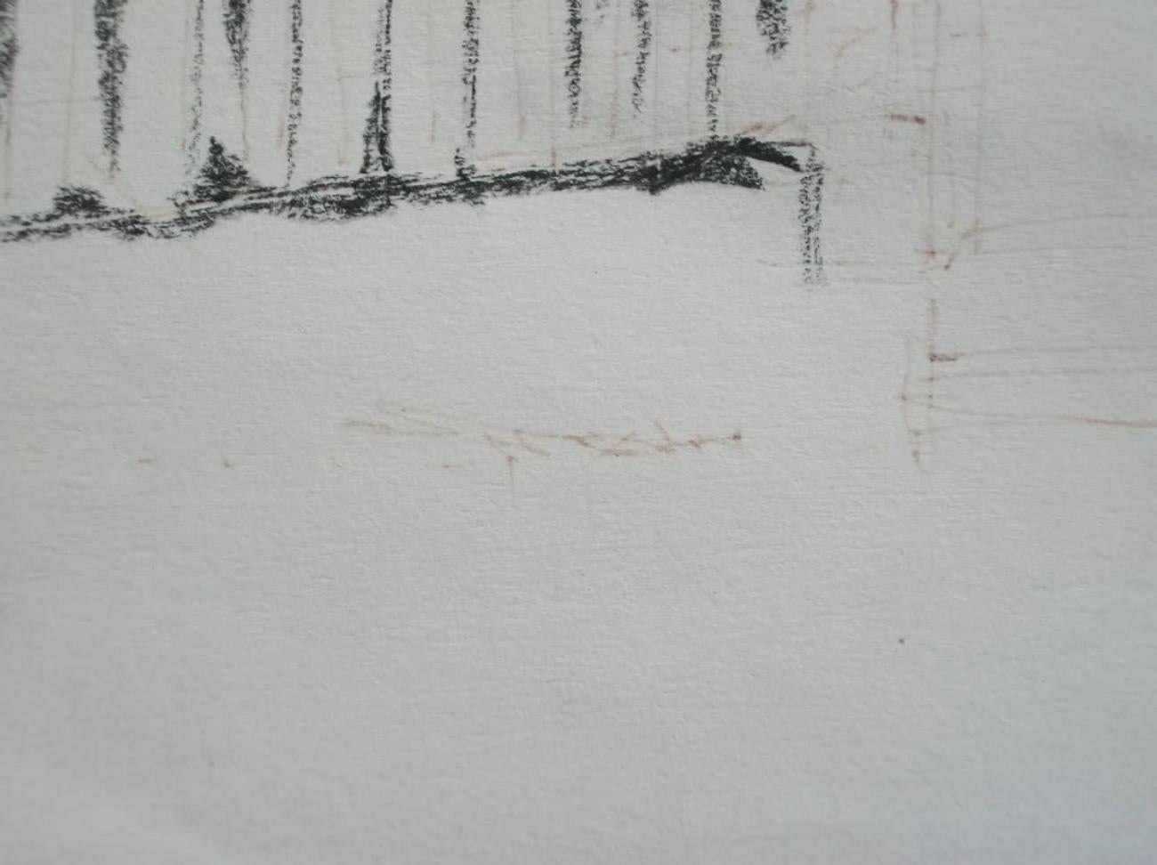Carta ST. BASILICA DI PETER - Disegno a carboncino - Firmato - Senza cornice - Italia - CIRCA 1984 in vendita