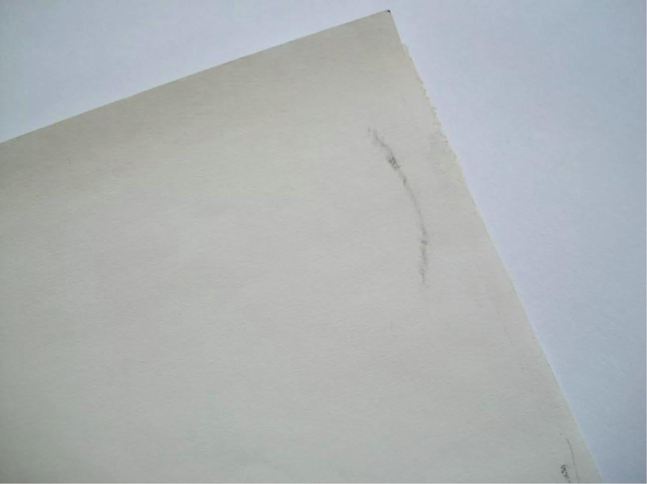 ST. BASILICA DI PETER - Disegno a carboncino - Firmato - Senza cornice - Italia - CIRCA 1984 in vendita 1