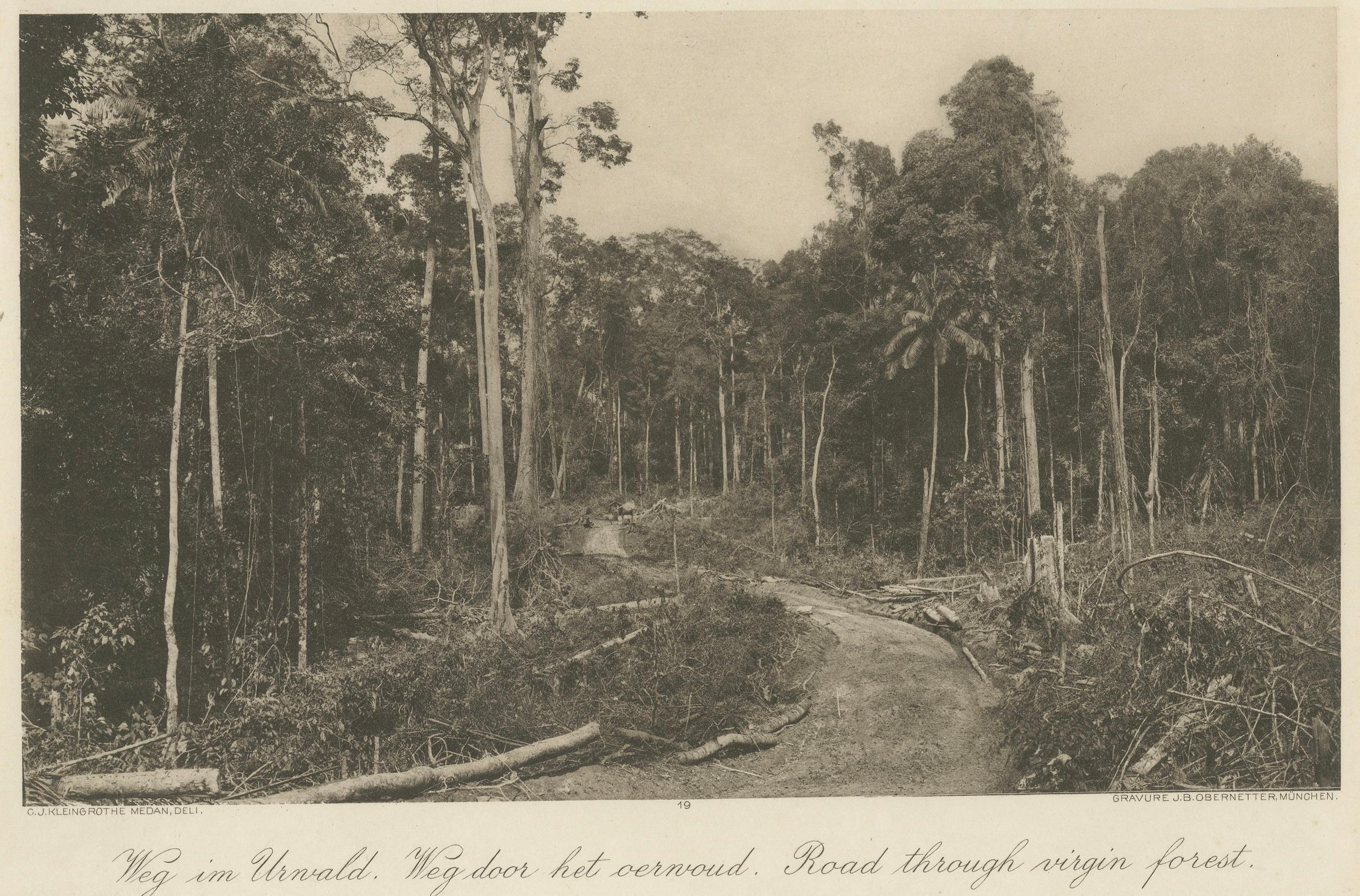 Puente gubernamental Stabat y carretera forestal - Fotograbado Kleingrothe c.1900 en Bueno estado para la venta en Langweer, NL