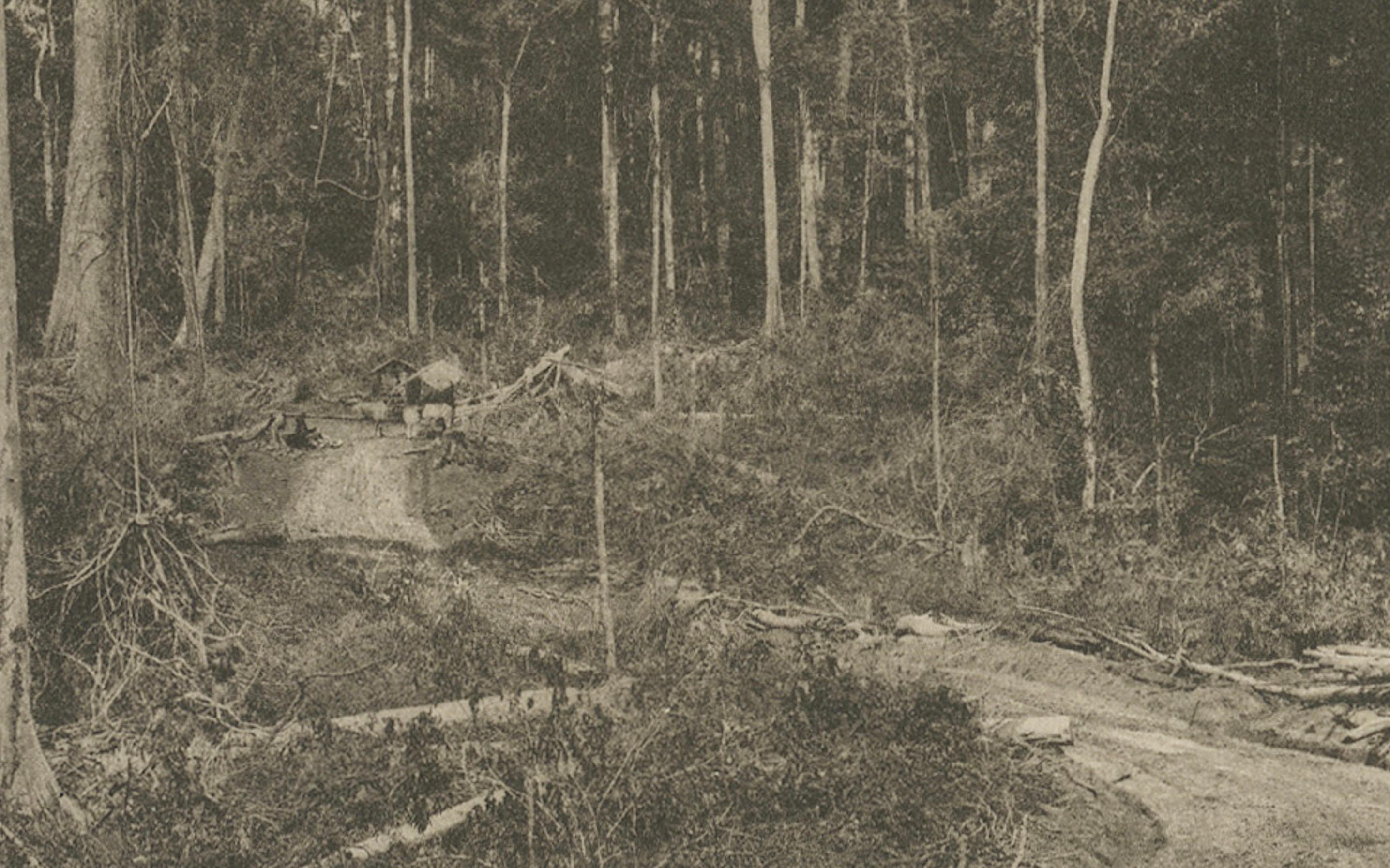 Puente gubernamental Stabat y carretera forestal - Fotograbado Kleingrothe c.1900 siglo XX en venta