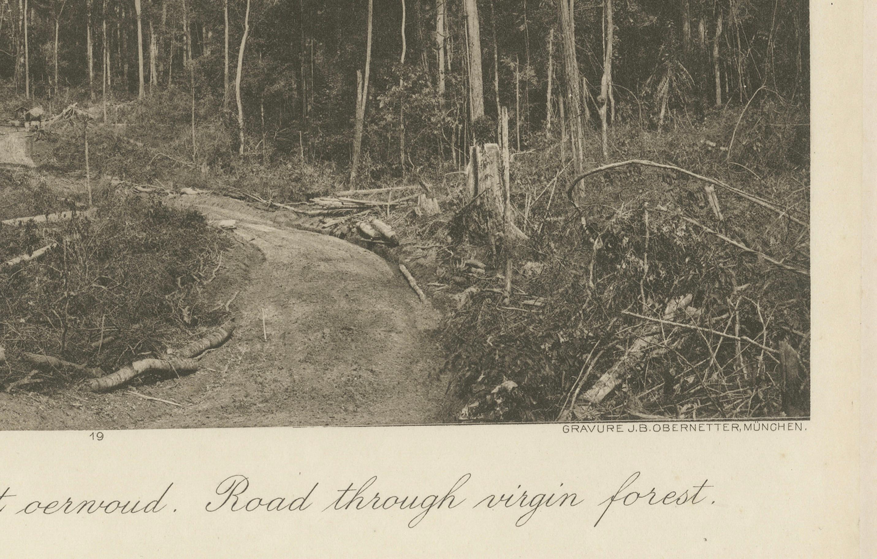 Puente gubernamental Stabat y carretera forestal - Fotograbado Kleingrothe c.1900 Papel en venta