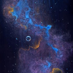 "Stellar Sea" - Abstraktes Tierportrait, Acrylmalerei auf Aluminium