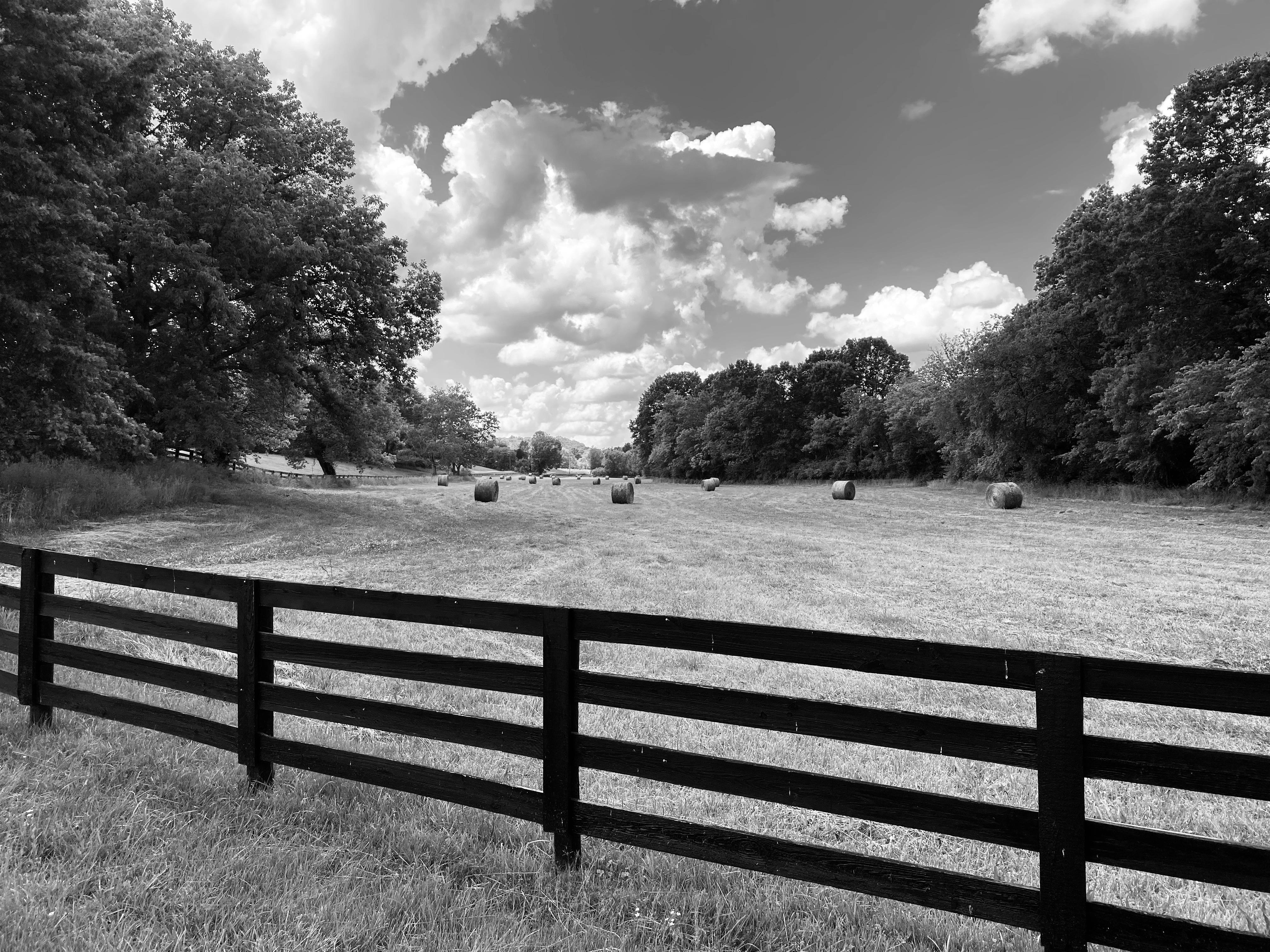 Black and White Photograph di Stacy Widelitz - Balle di fieno, Leipers Fork, TN