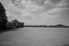 Grassroots Sod Farm