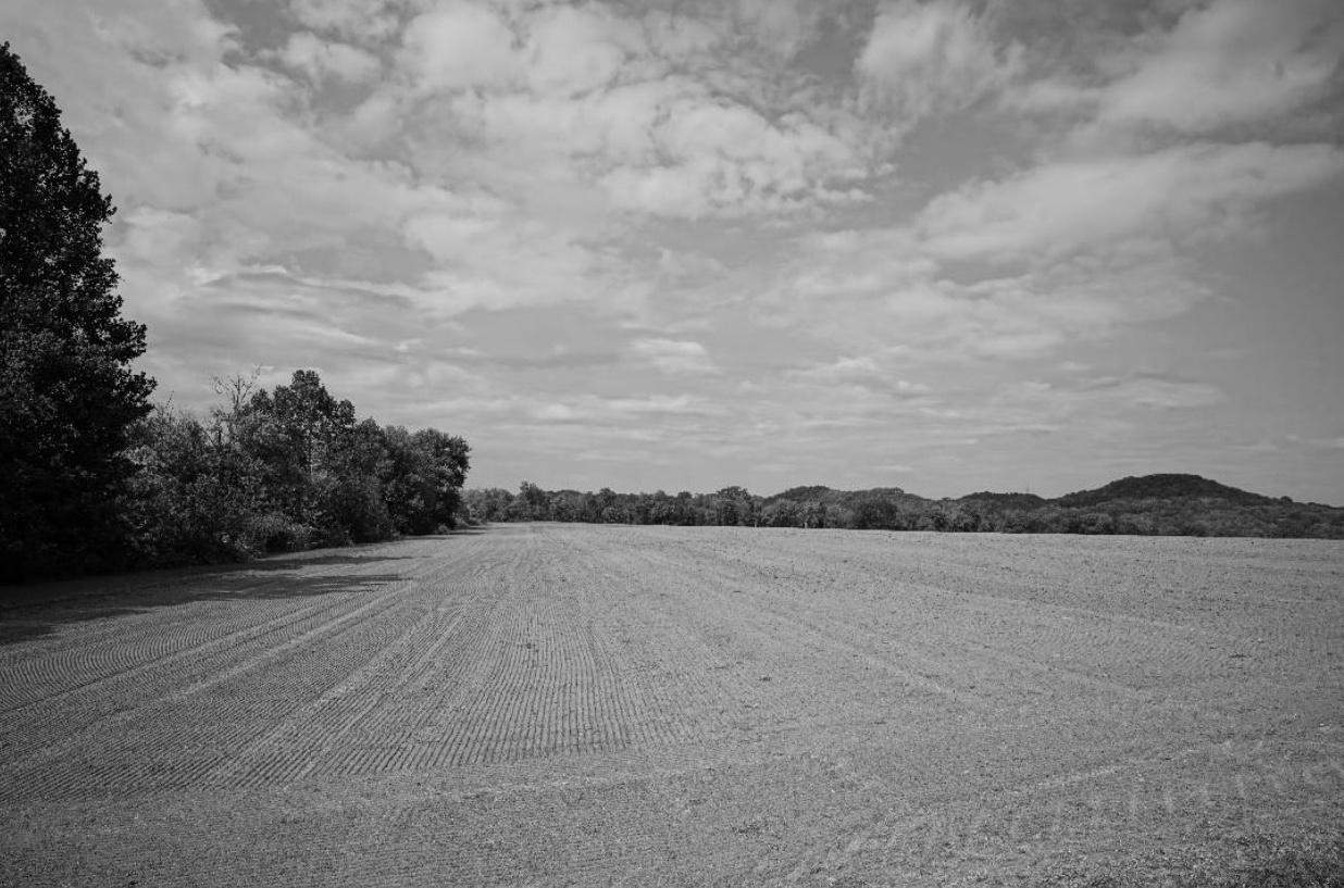 Stacy Widelitz Black and White Photograph - Grassroots Sod Farm
