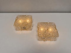 STAFF Leuchten Clear Bubble Glass Sconce Flush Mount Lights, 1970s, Germany