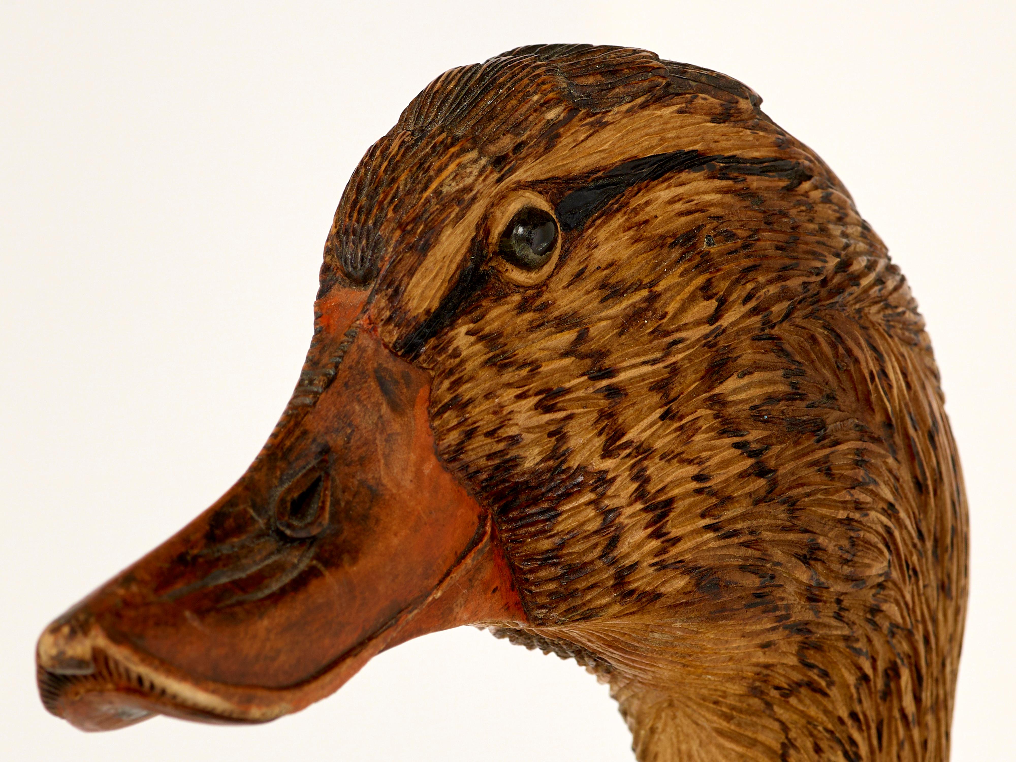 Staff with duck head carving In Good Condition For Sale In Woking, GB