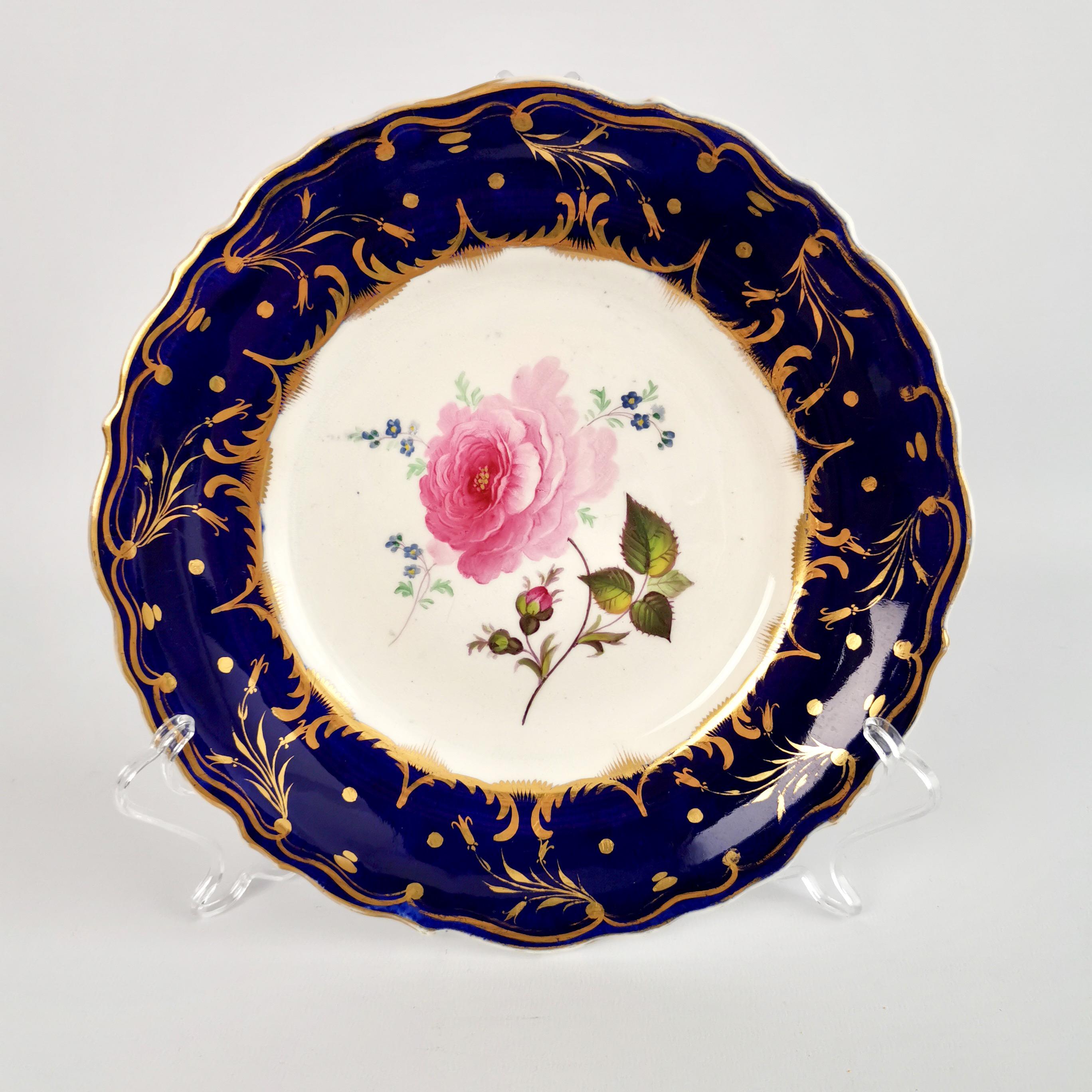 Staffordshire Dessert Service, Cobalt Blue Botanical, Rococo Revival, circa 1830 4