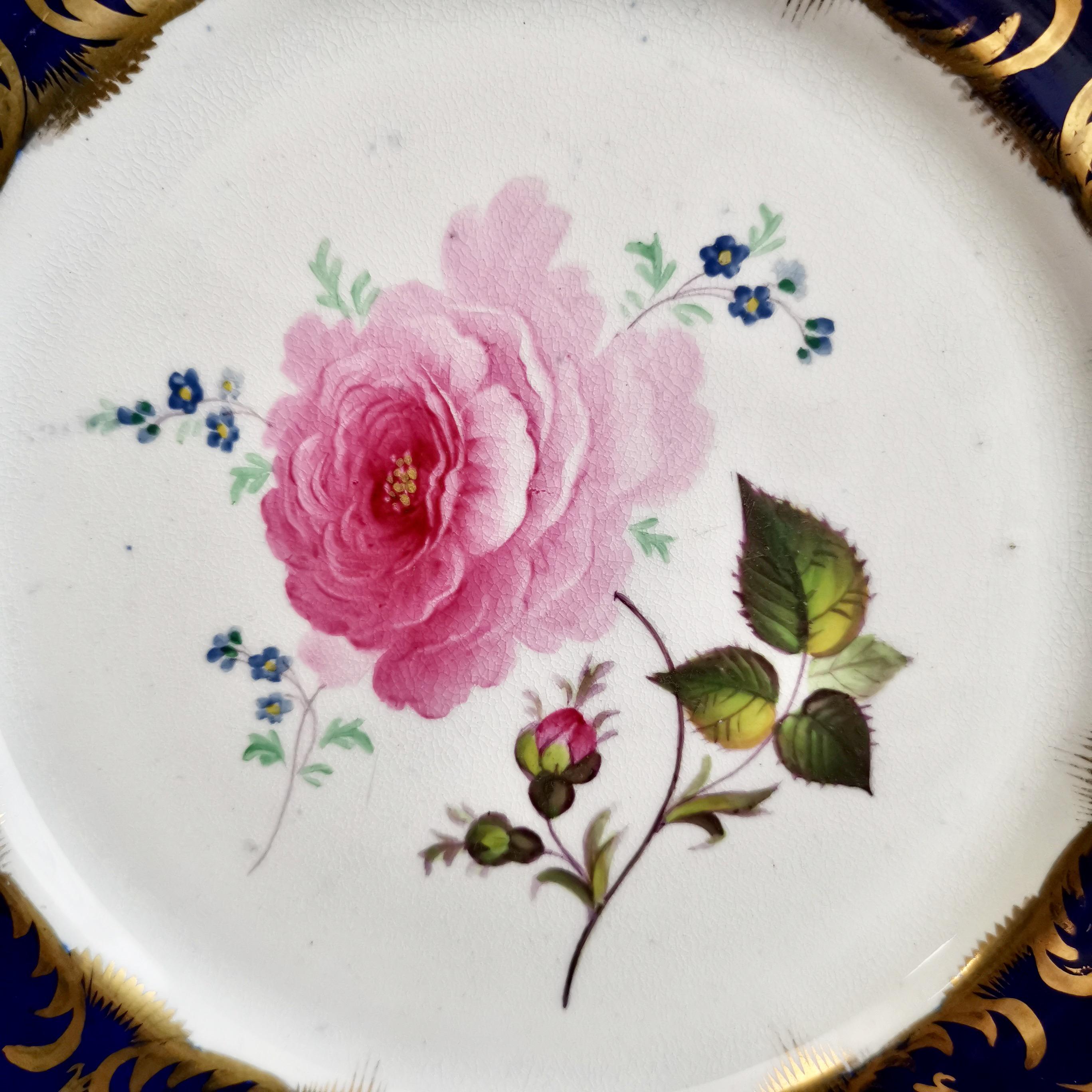 Staffordshire Dessert Service, Cobalt Blue Botanical, Rococo Revival, circa 1830 5