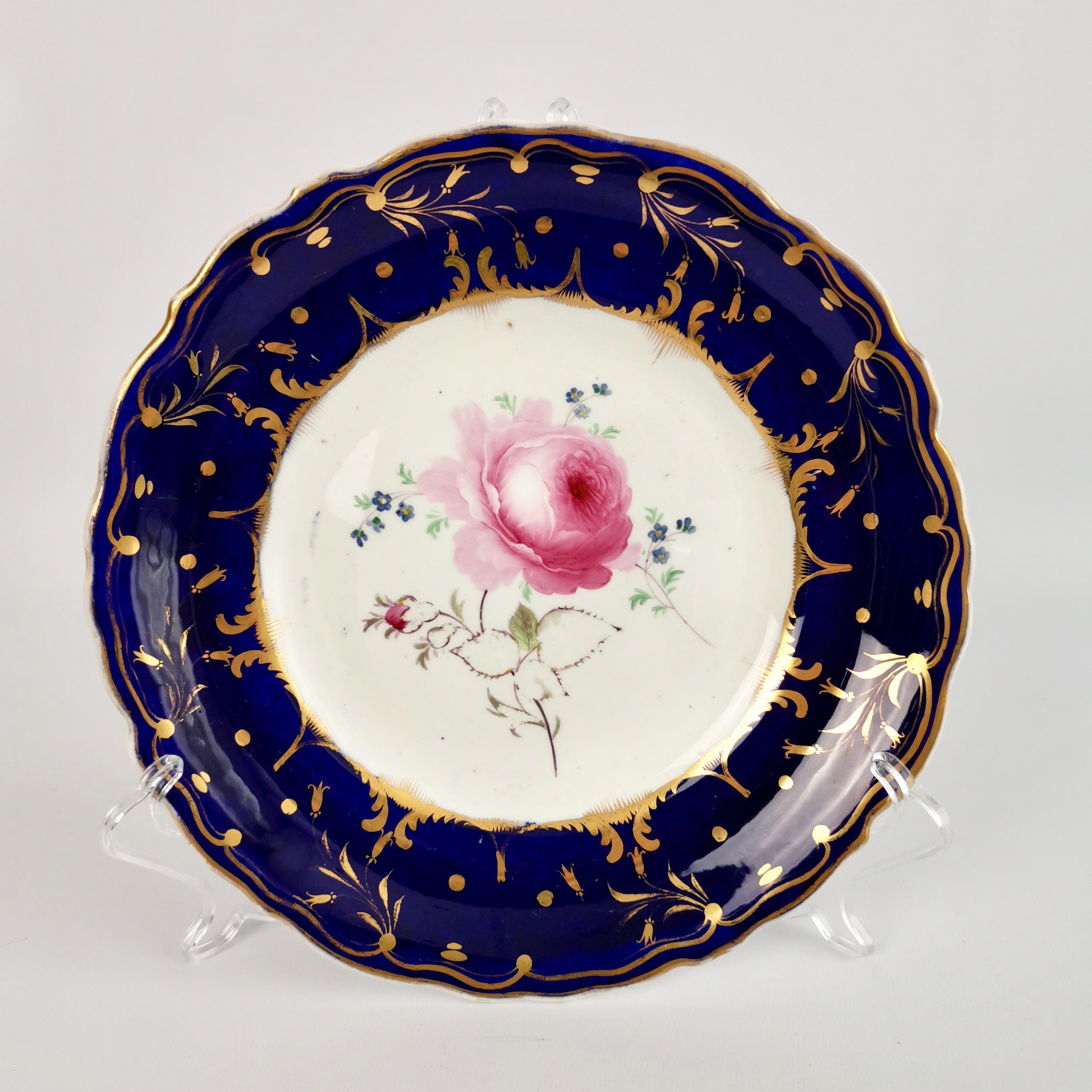 Staffordshire Dessert Service, Cobalt Blue Botanical, Rococo Revival, circa 1830 8