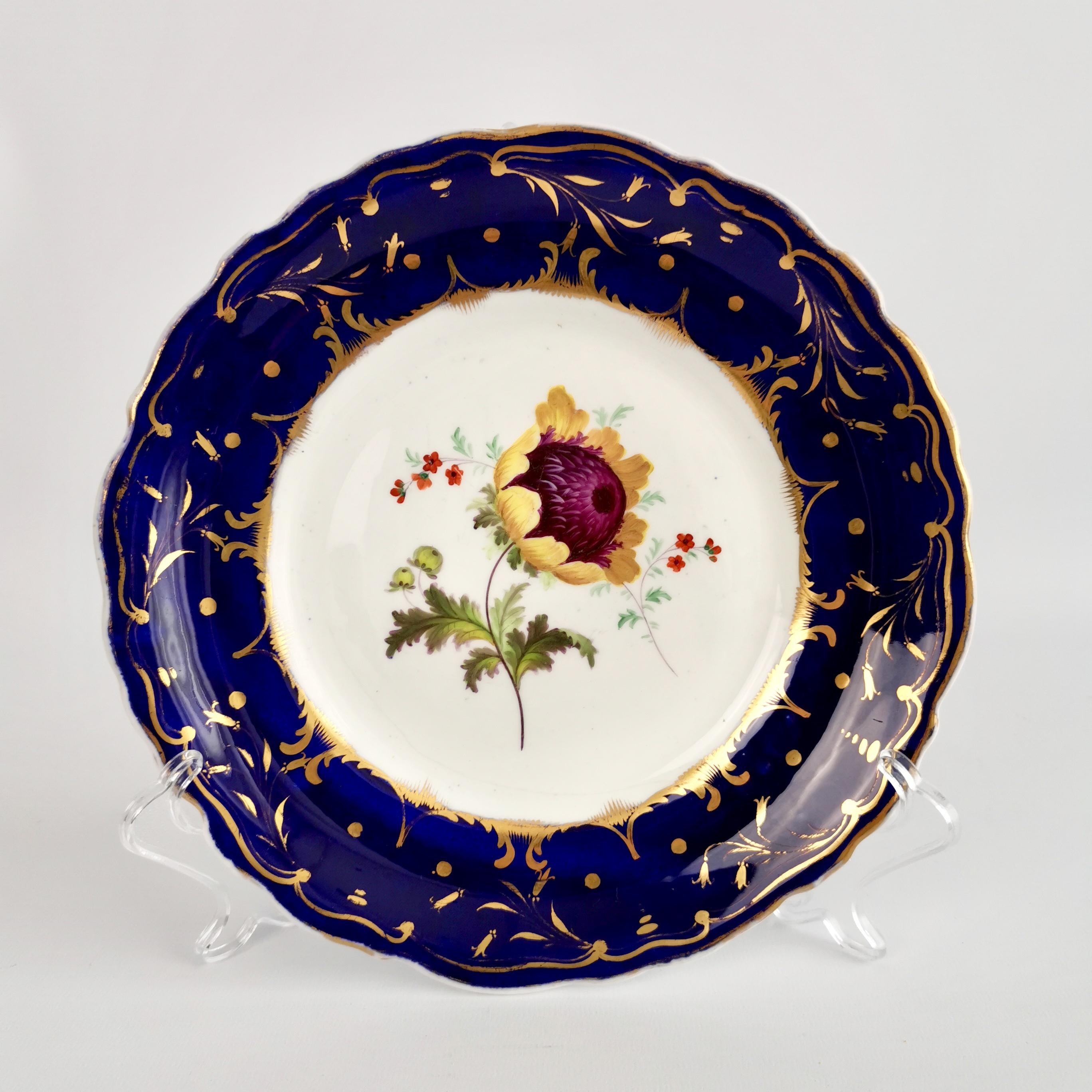 Porcelain Staffordshire Dessert Service, Cobalt Blue Botanical, Rococo Revival, circa 1830