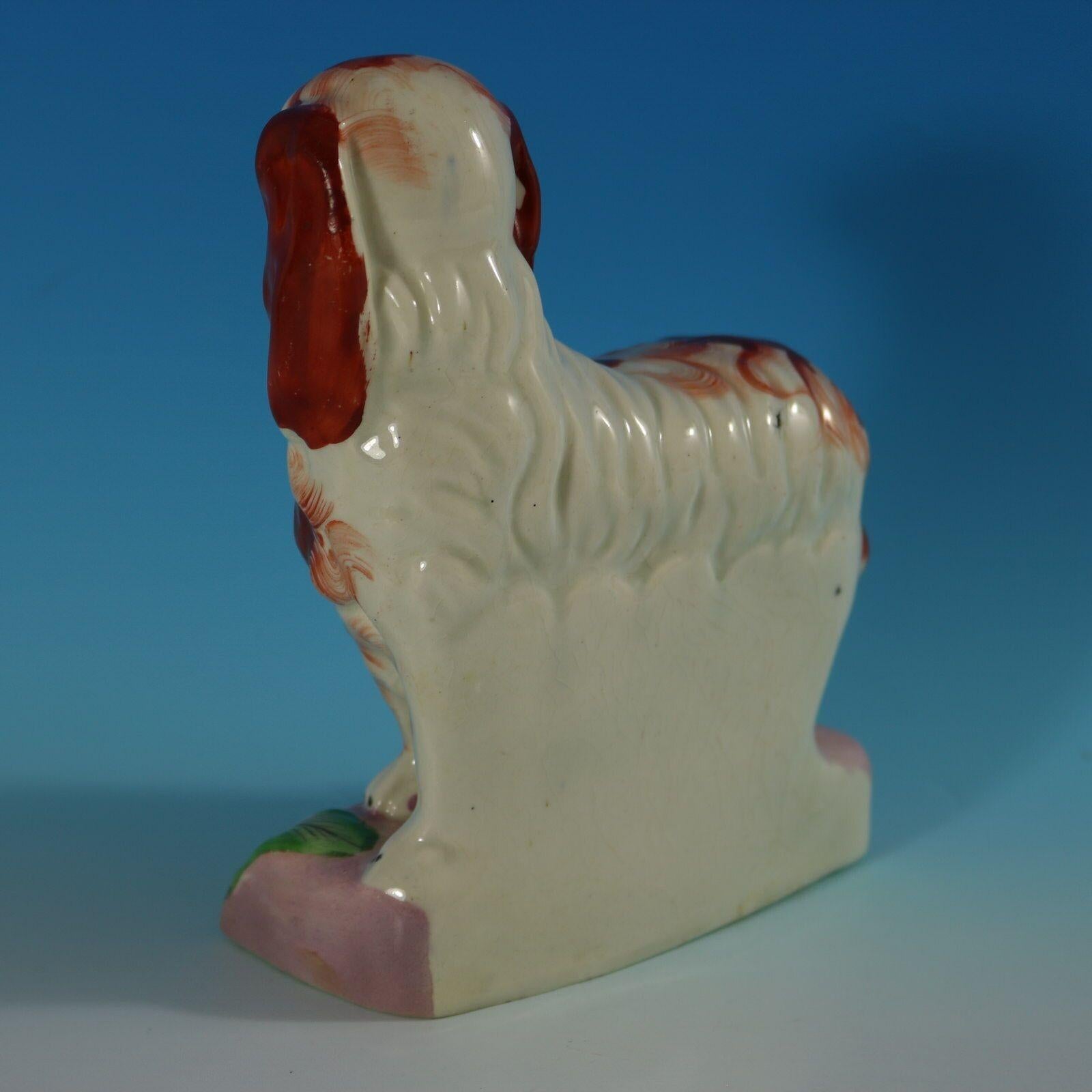 Inglese Staffordshire Charles Spaniel su base di foglie in vendita