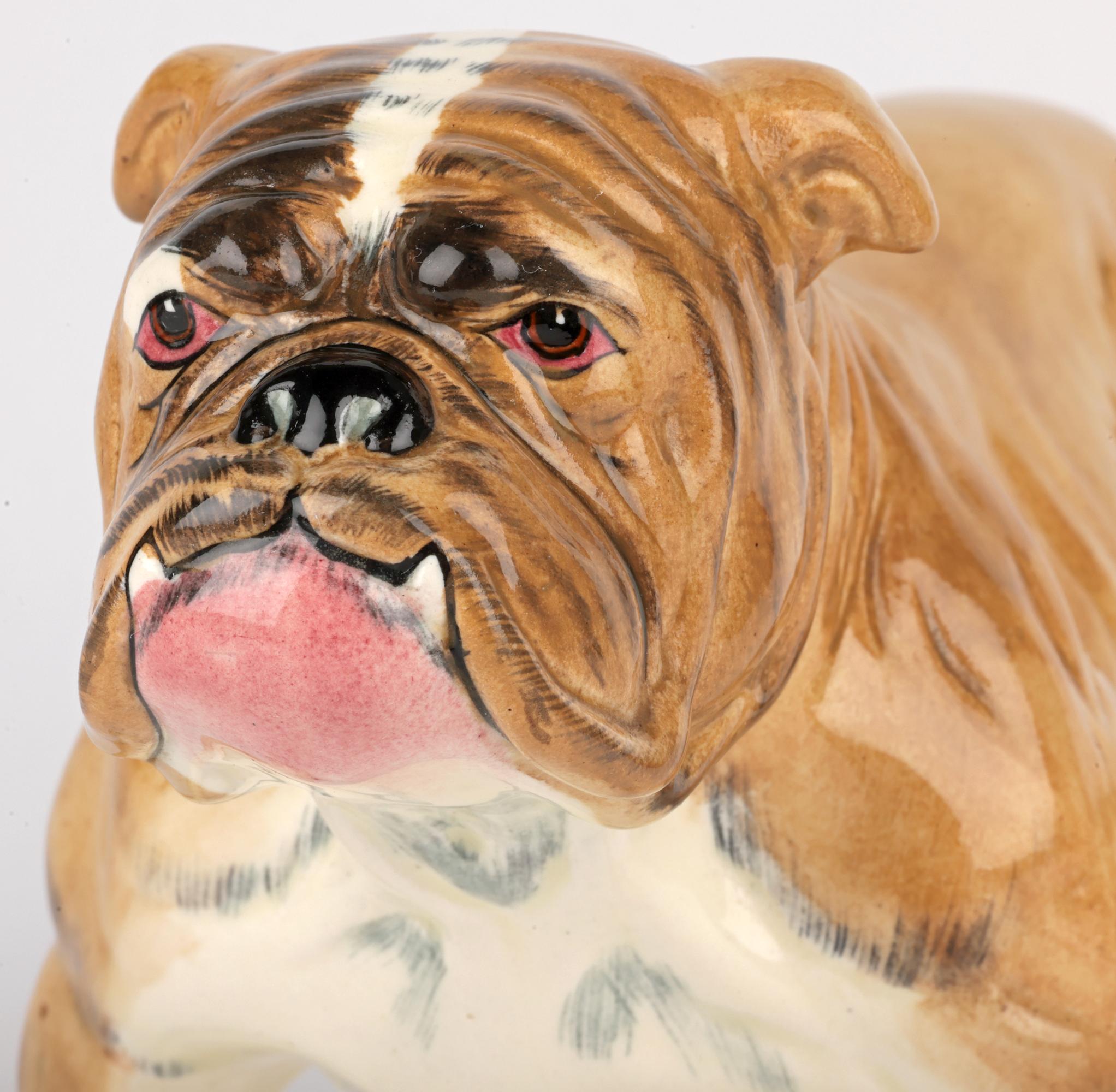Charmante figurine en céramique peinte à la main, datant du milieu du siècle, représentant un bouledogue britannique debout, probablement fabriquée dans le Staffordshire. La figurine est très bien réalisée, avec une posture large reposant sur quatre