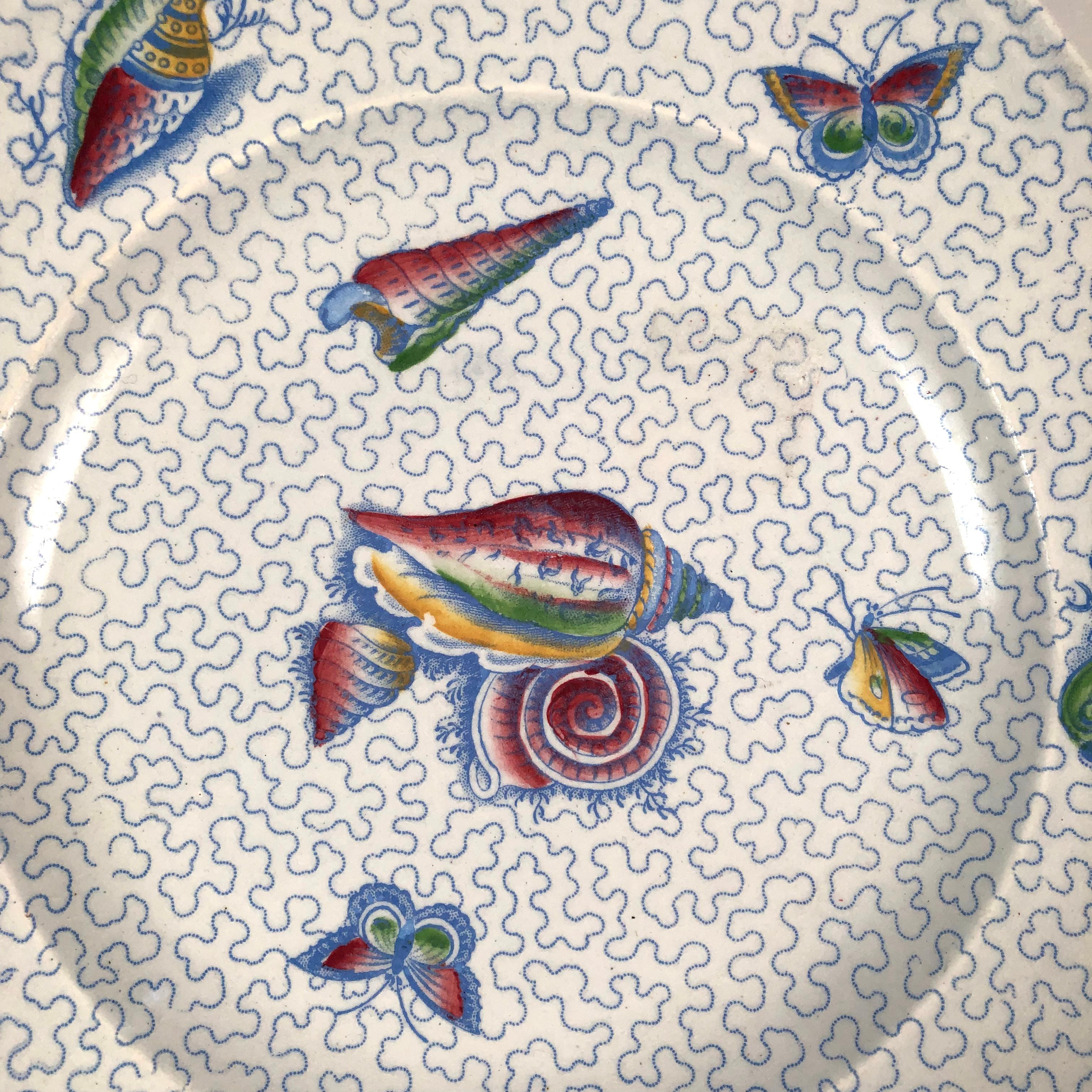 19th Century Staffordshire Sea Shell and Butterfly Plate, circa 1820-1830