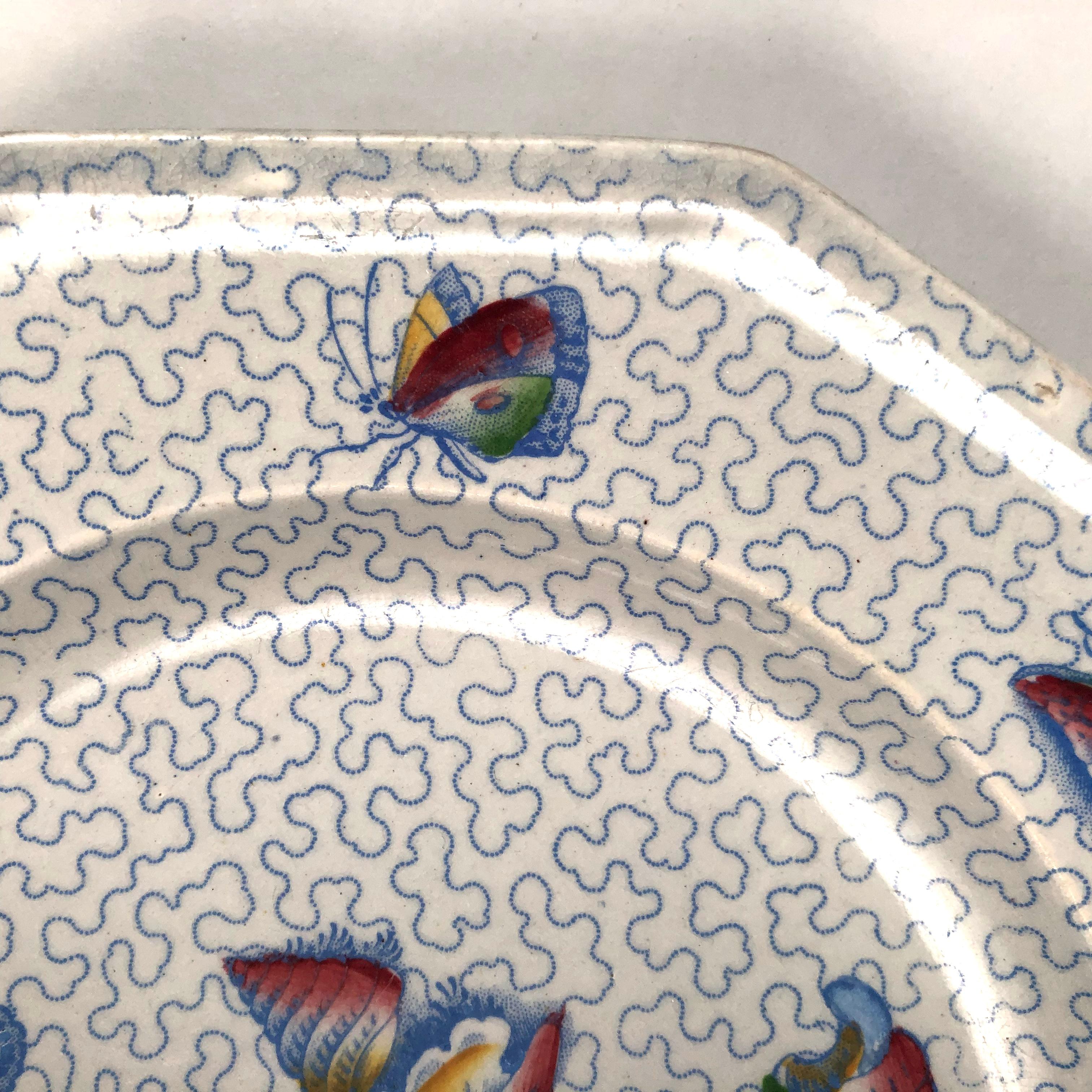 Staffordshire Sea Shell and Butterfly Plate, circa 1820-1830 1