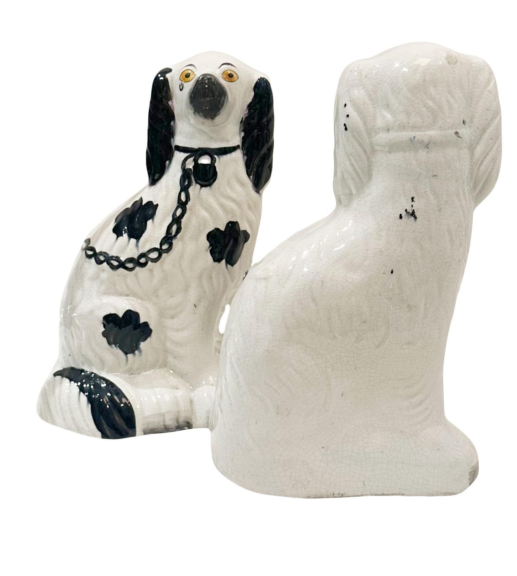 English Staffordshire Spaniels For Sale