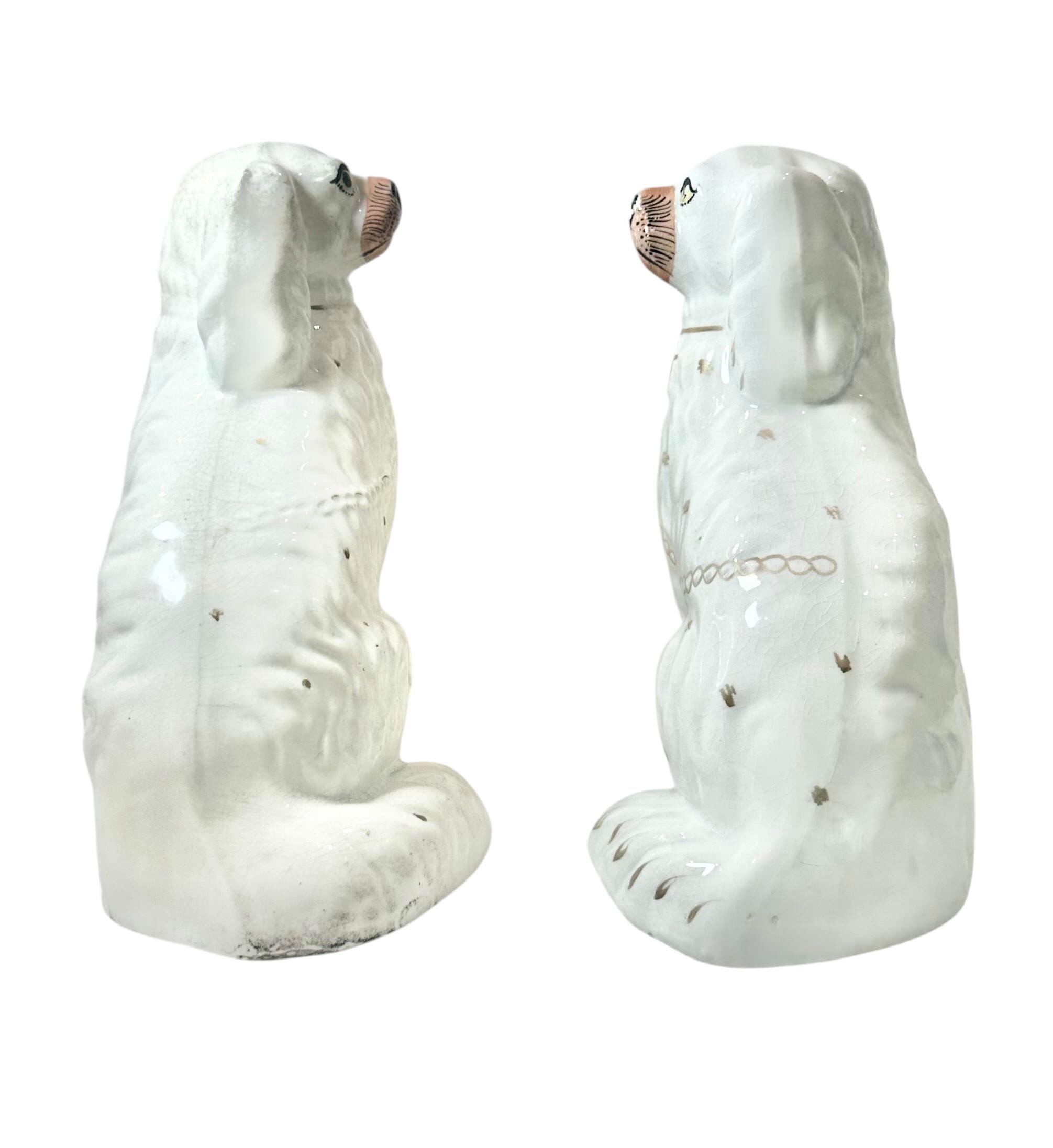 English Staffordshire Spaniels For Sale