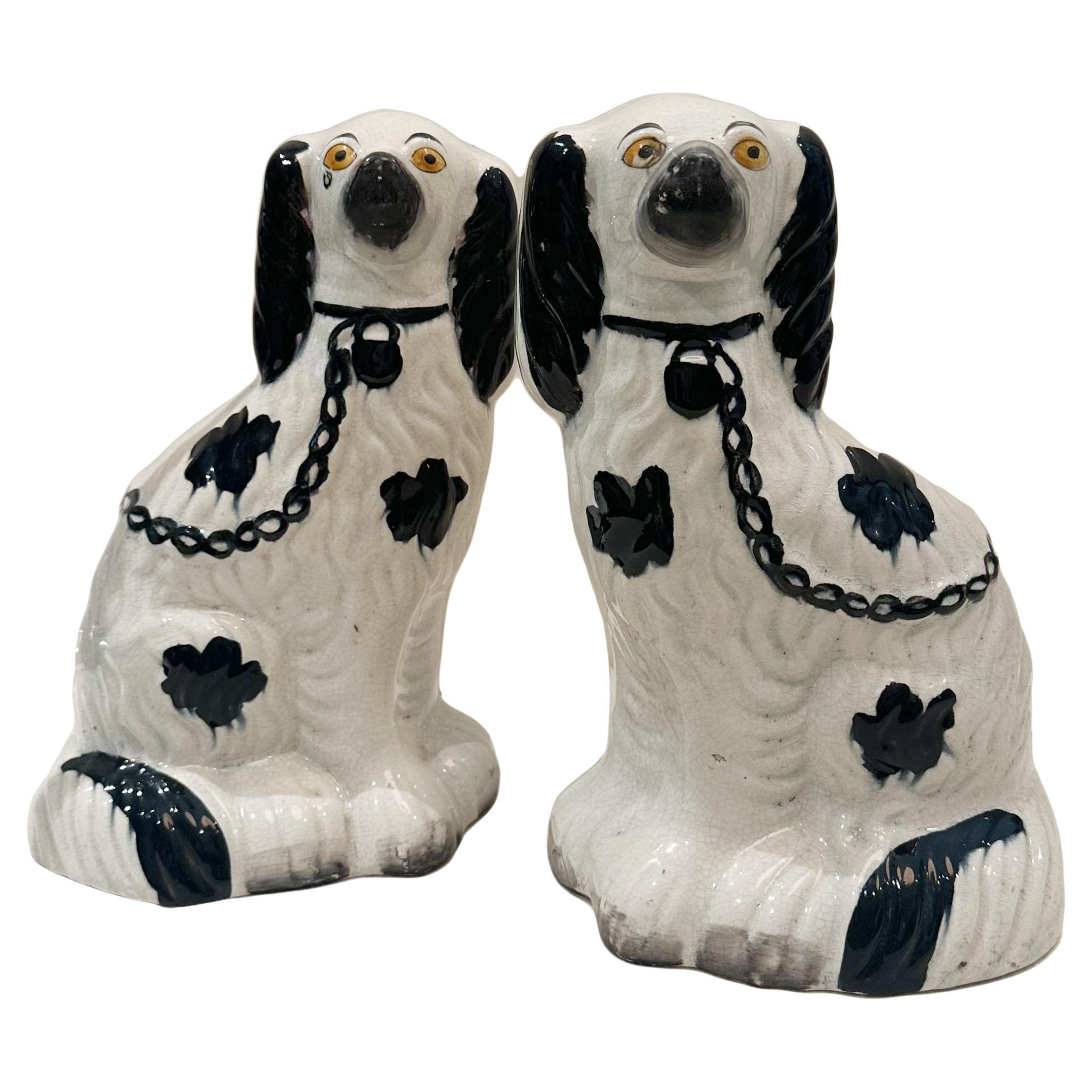 Staffordshire Spaniels
