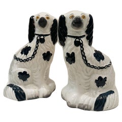 Staffordshire Spaniels